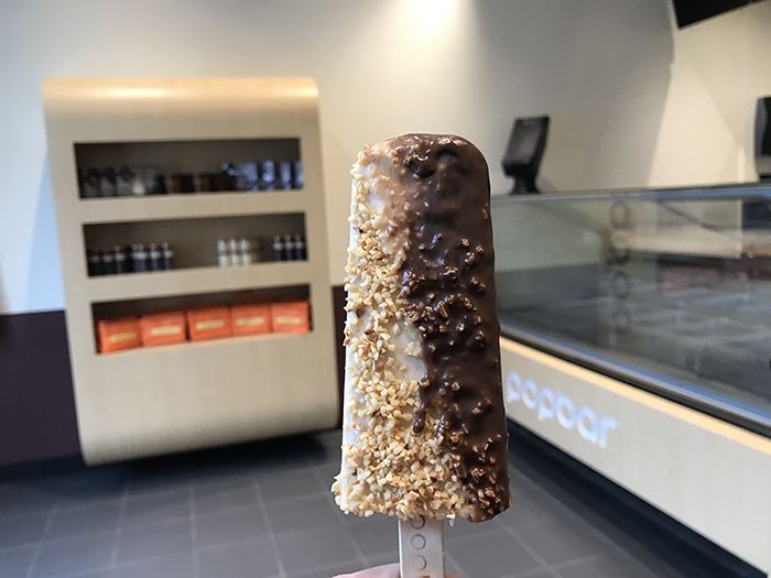 Hazelnut gelato bar dipped in dark chocolate and hazelnuts