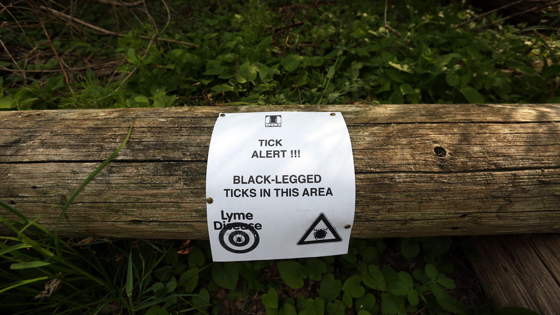 tick alert sign