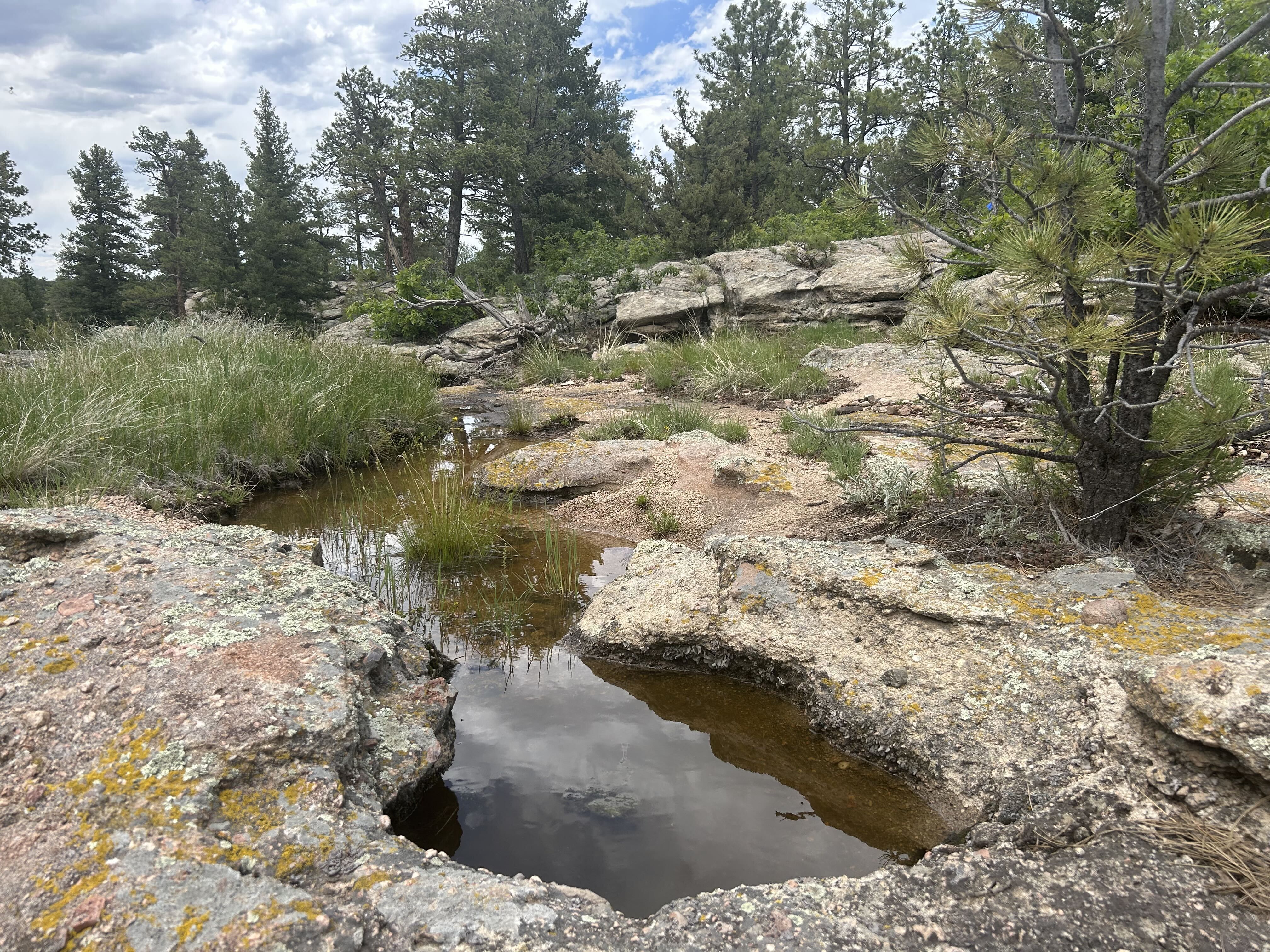 Castle Rock's Lost Canyon Open Space.
