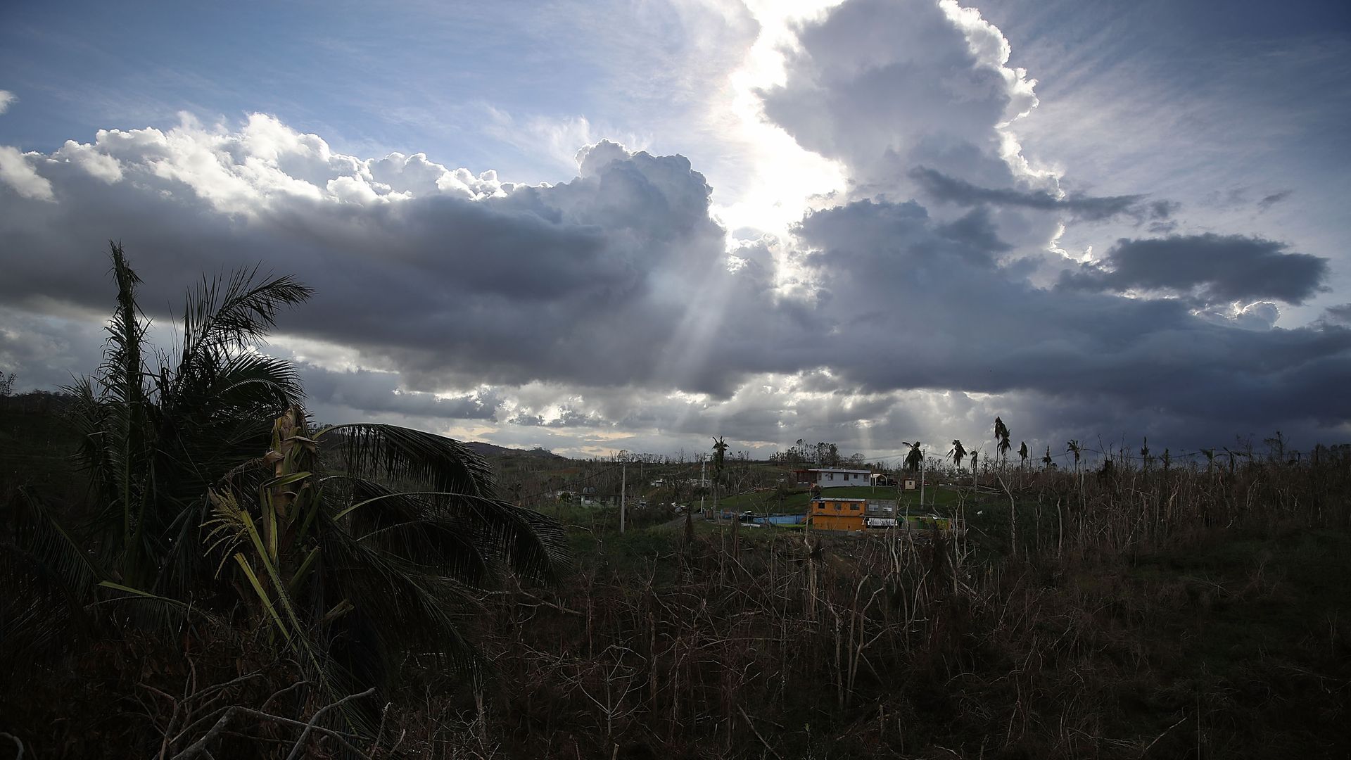 Clouds are seen over trees stripped of leaves and knocked over by the winds of Hurricane Maria on October 2, 2017 in Corozal, Puerto Rico. Photo: Joe Raedle/Getty Images