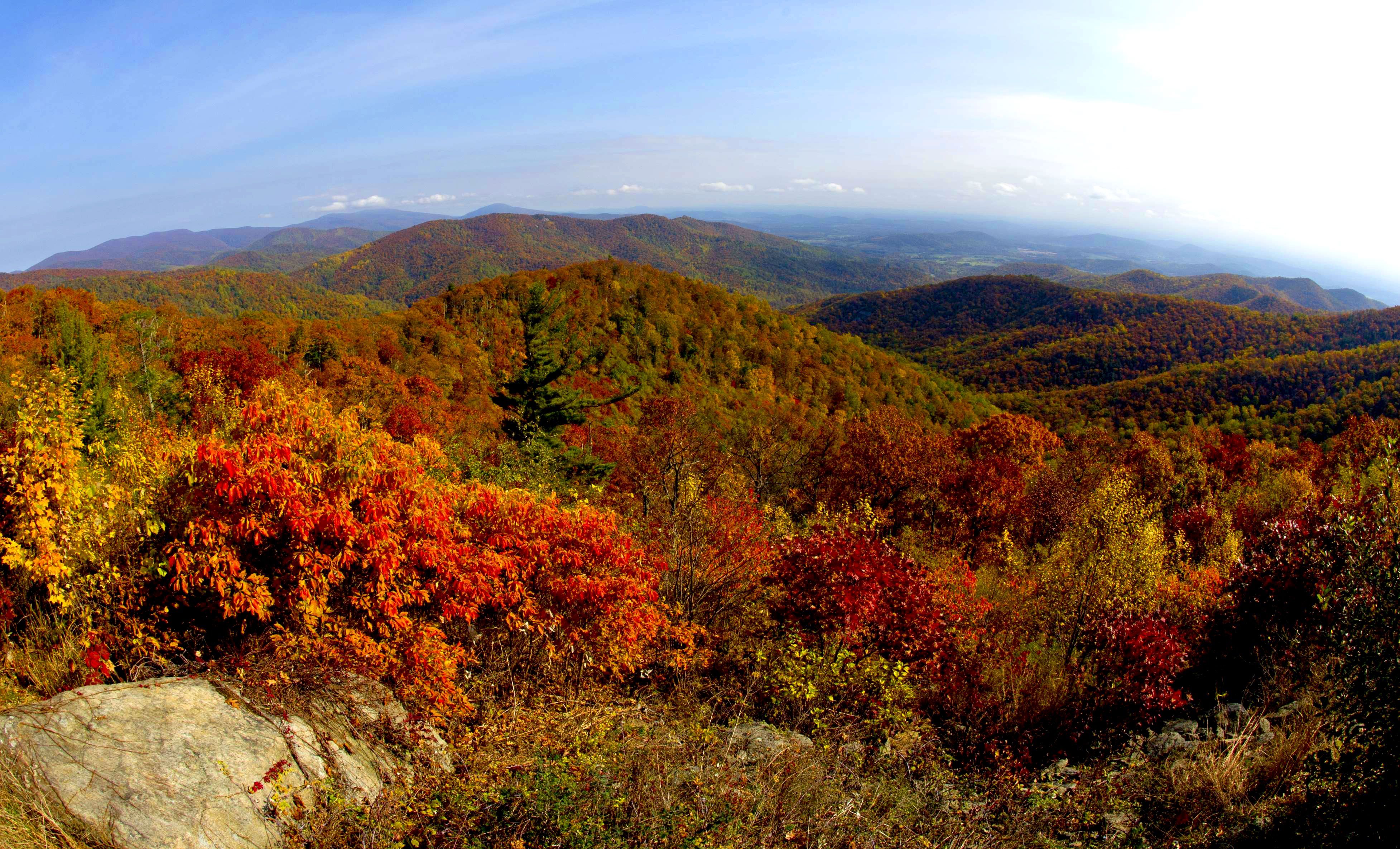 shenandoah mountain leaves changing color 