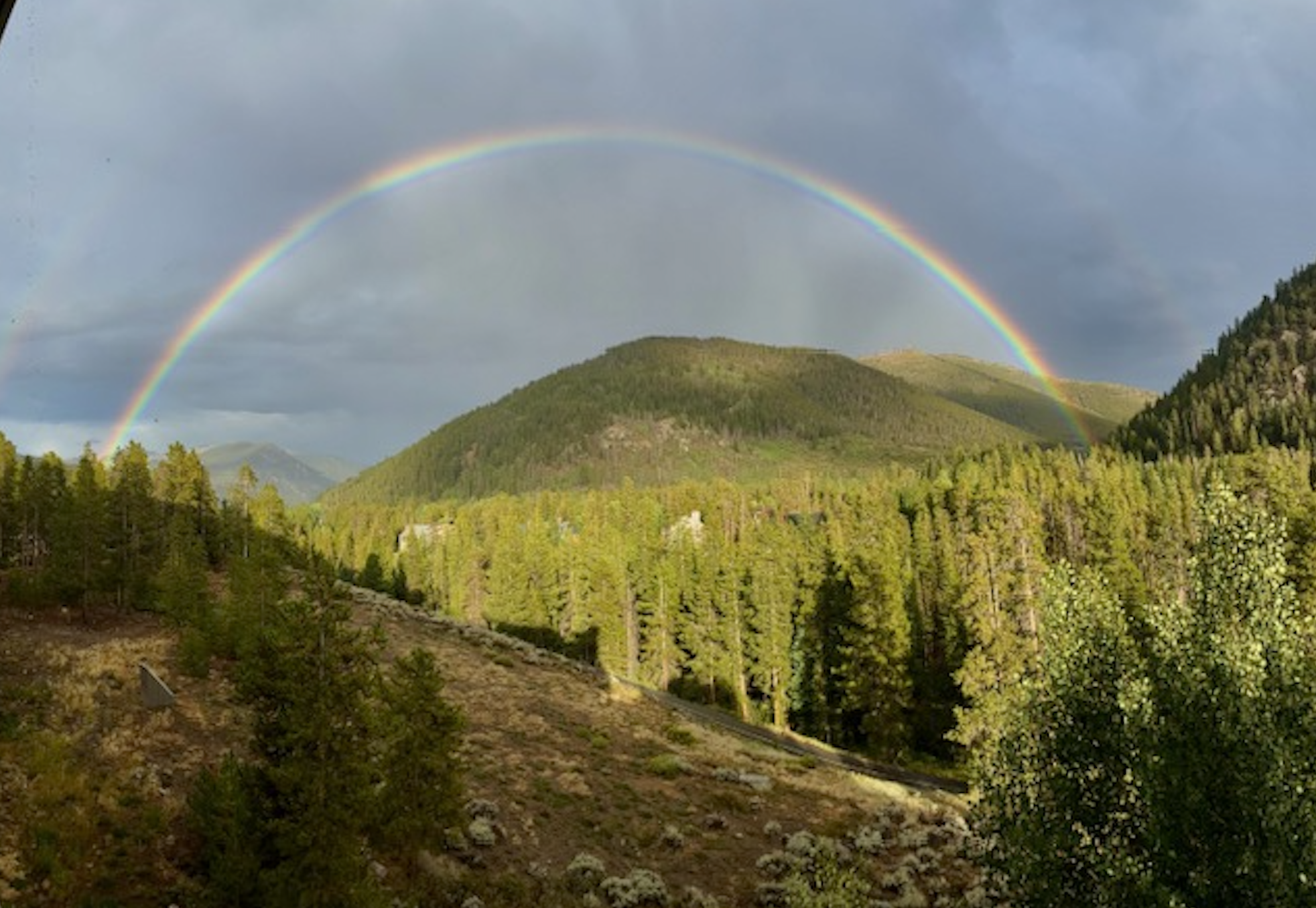 Scenic mountain valley with a dense evergreen forest in the foreground, rolling hills and distant peaks, and a vivid double rainbow arcing across a cloudy blue sky.