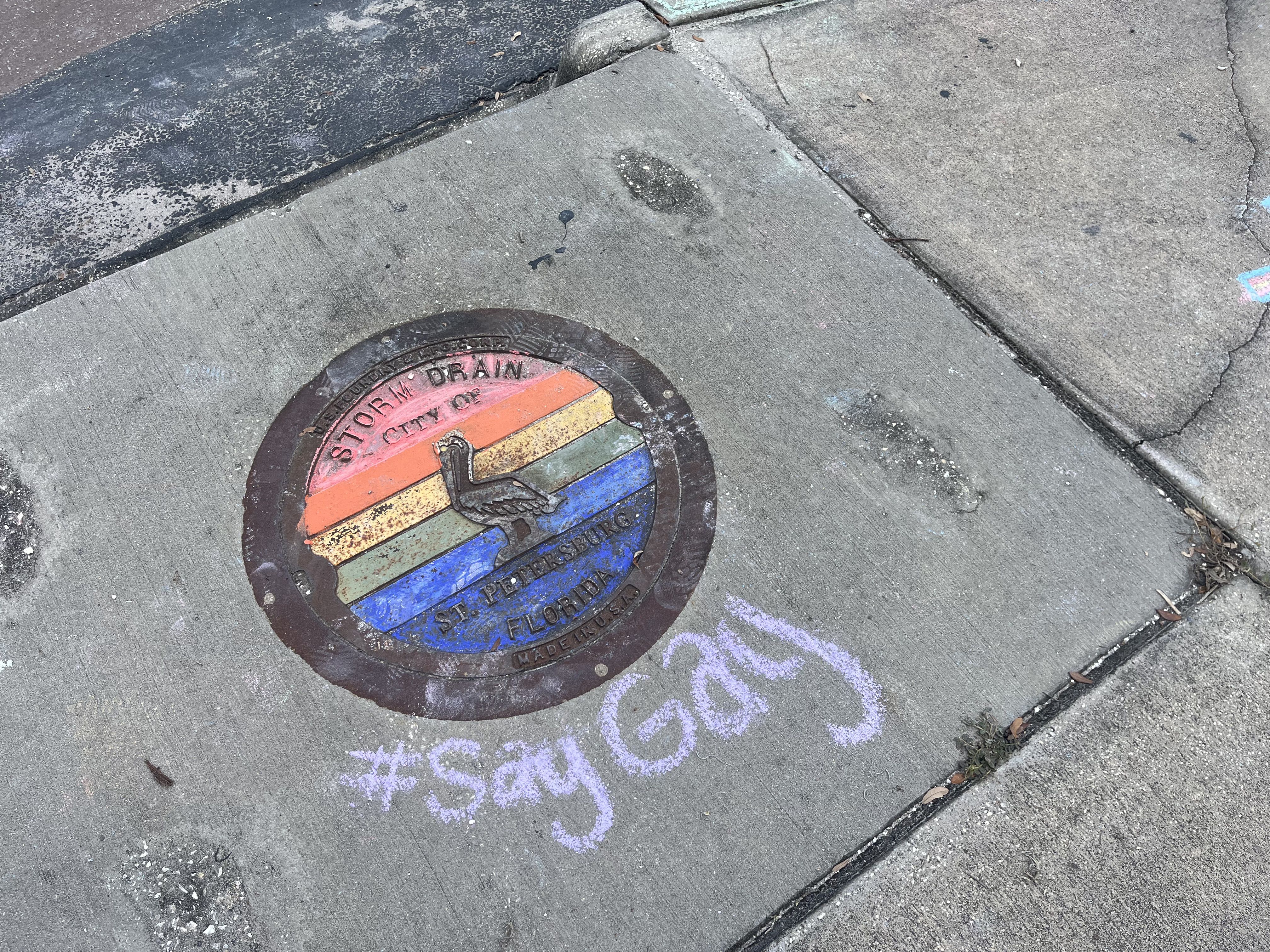 Colorful round storm drain cover in St. Petersburg, Florida with a brown pelican and rainbow stripes, on gray concrete sidewalk with pink chalk text #SayGay.