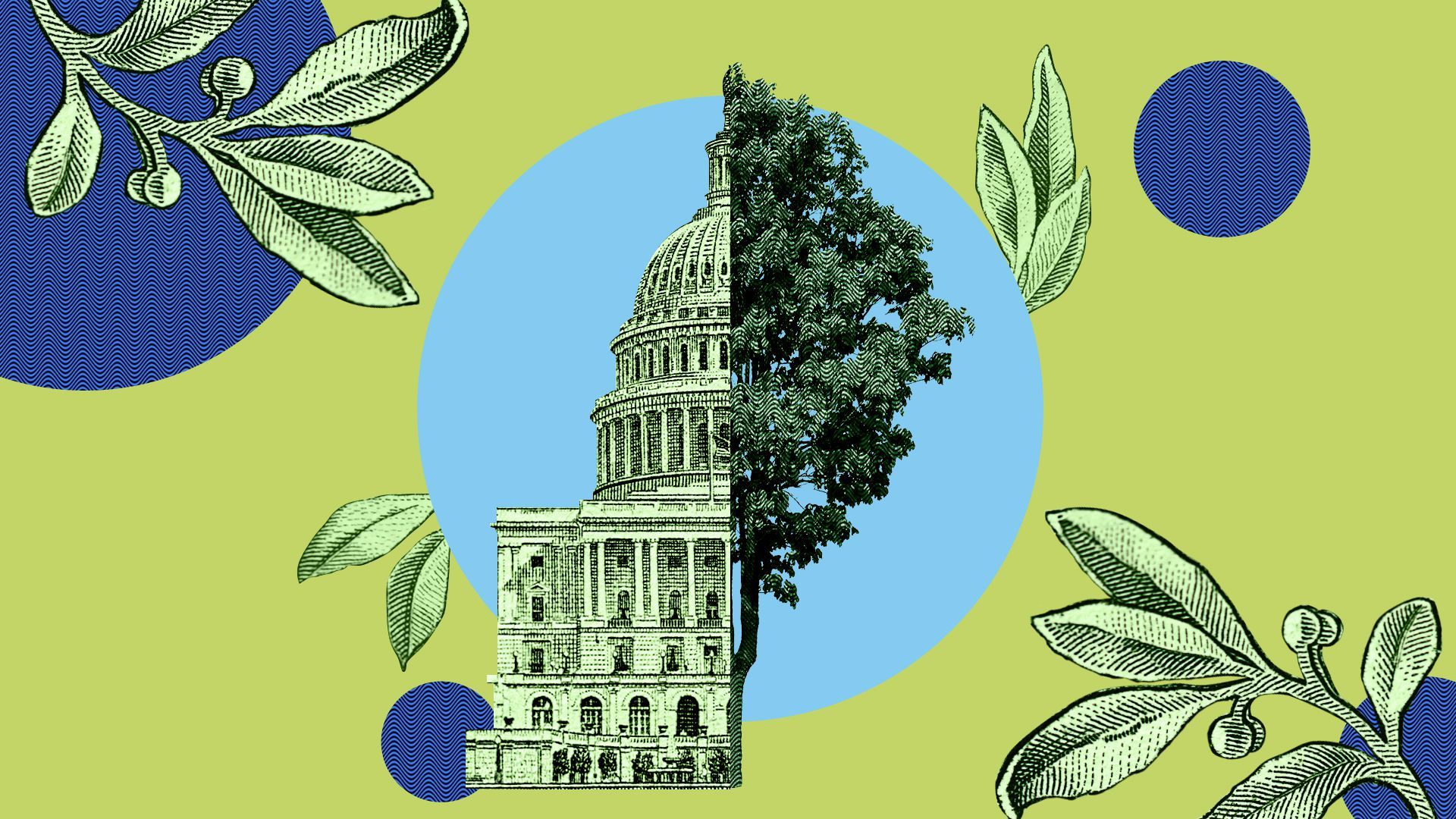 Illustration of a collage of trees, leaves and elements of a hundred dollar bill.  