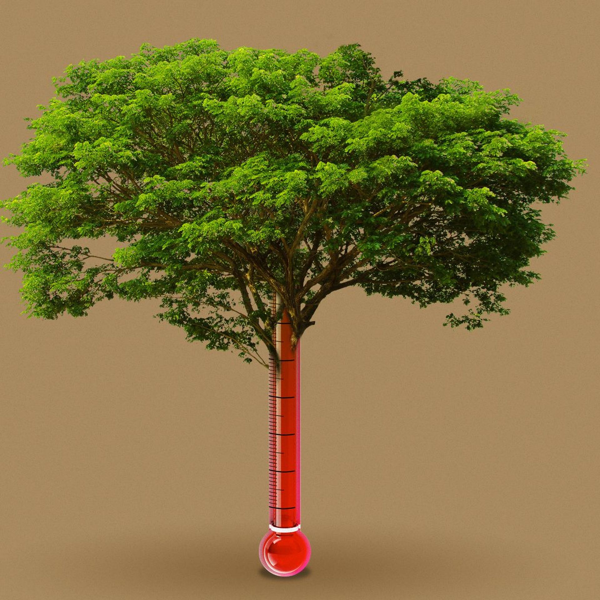 Illustration of a tree growing out of a thermometer with a high temperature.