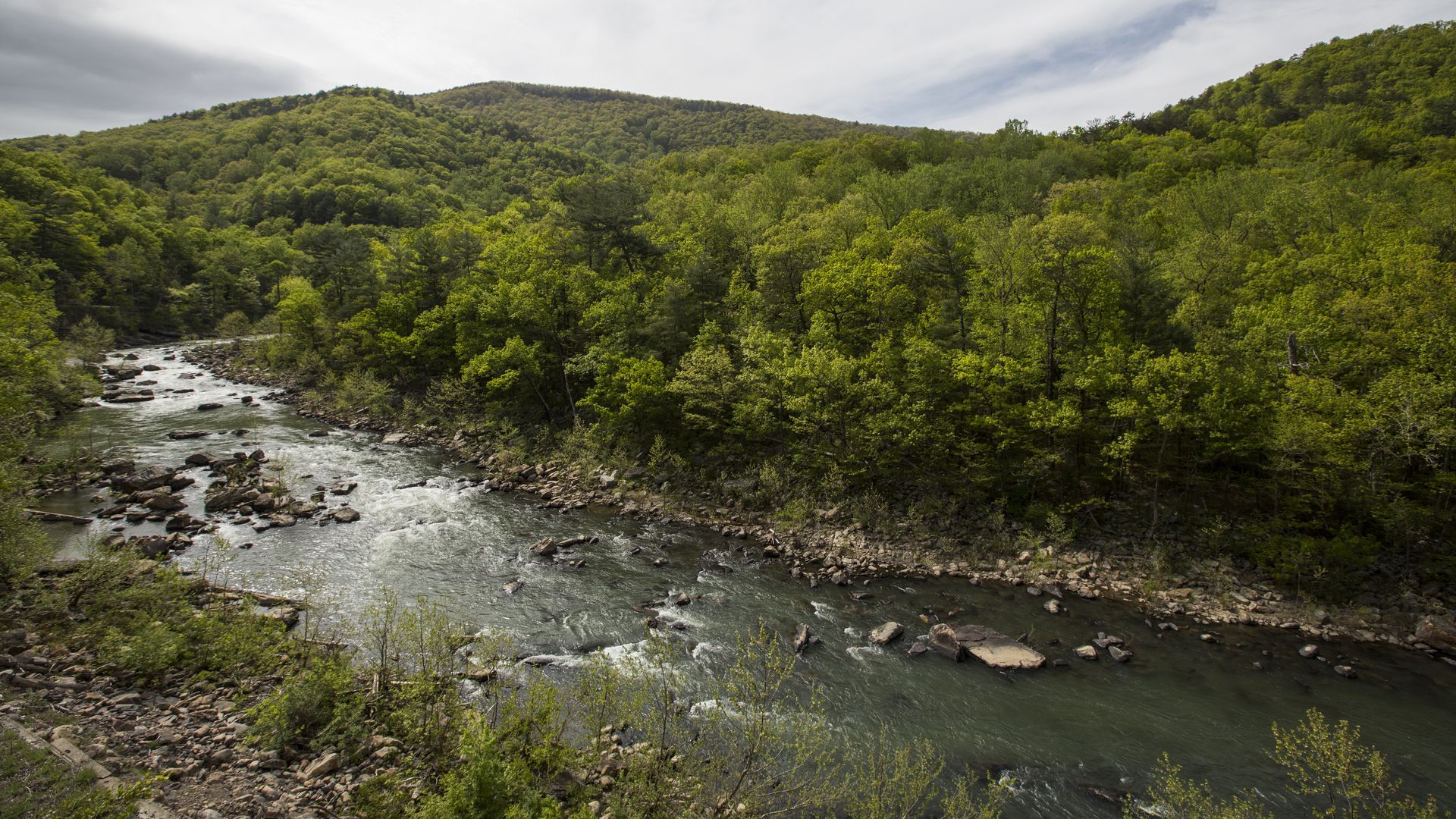 Scenery with river and forest at Appalachian Trail near Goshen Pass, Blue Ridge Mountains, Virginia.