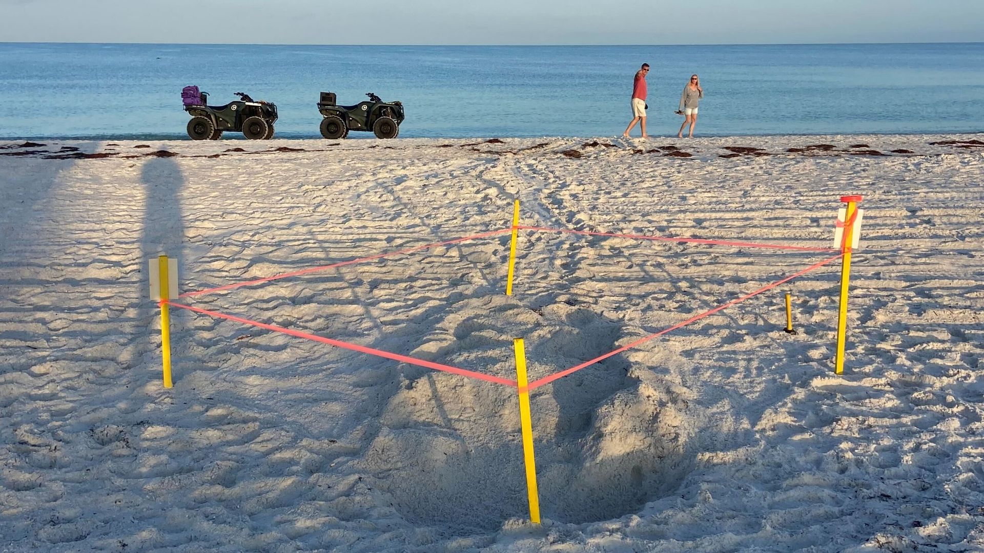 Beach scene with calm blue sea. Two green ATVs parked near the water; a man in red shirt and shorts and a woman in gray walk along the shore. Yellow posts and pink rope form a barrier around a nest in the sand.