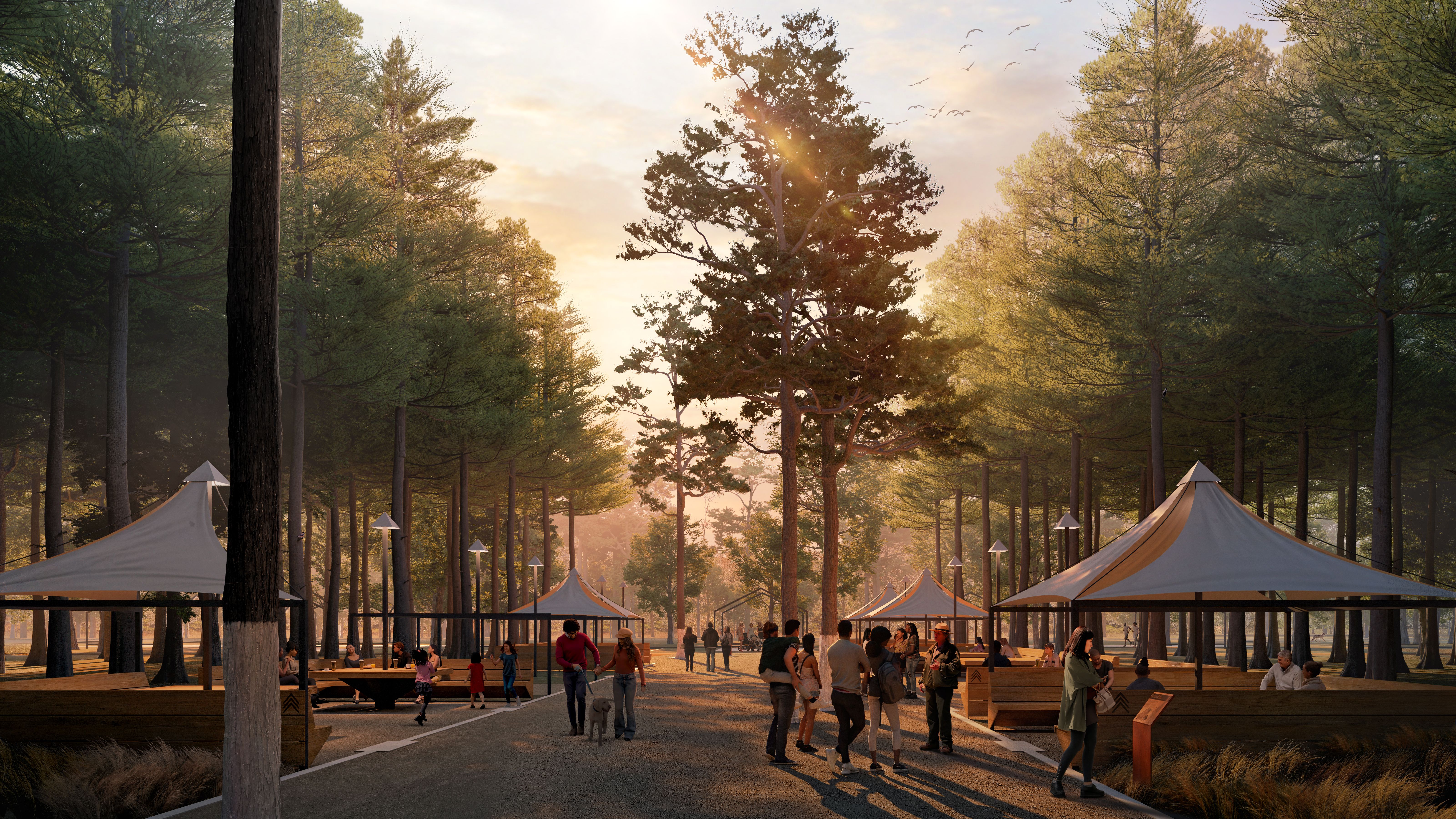 Rendering of the cypress trees at a park with tent tables