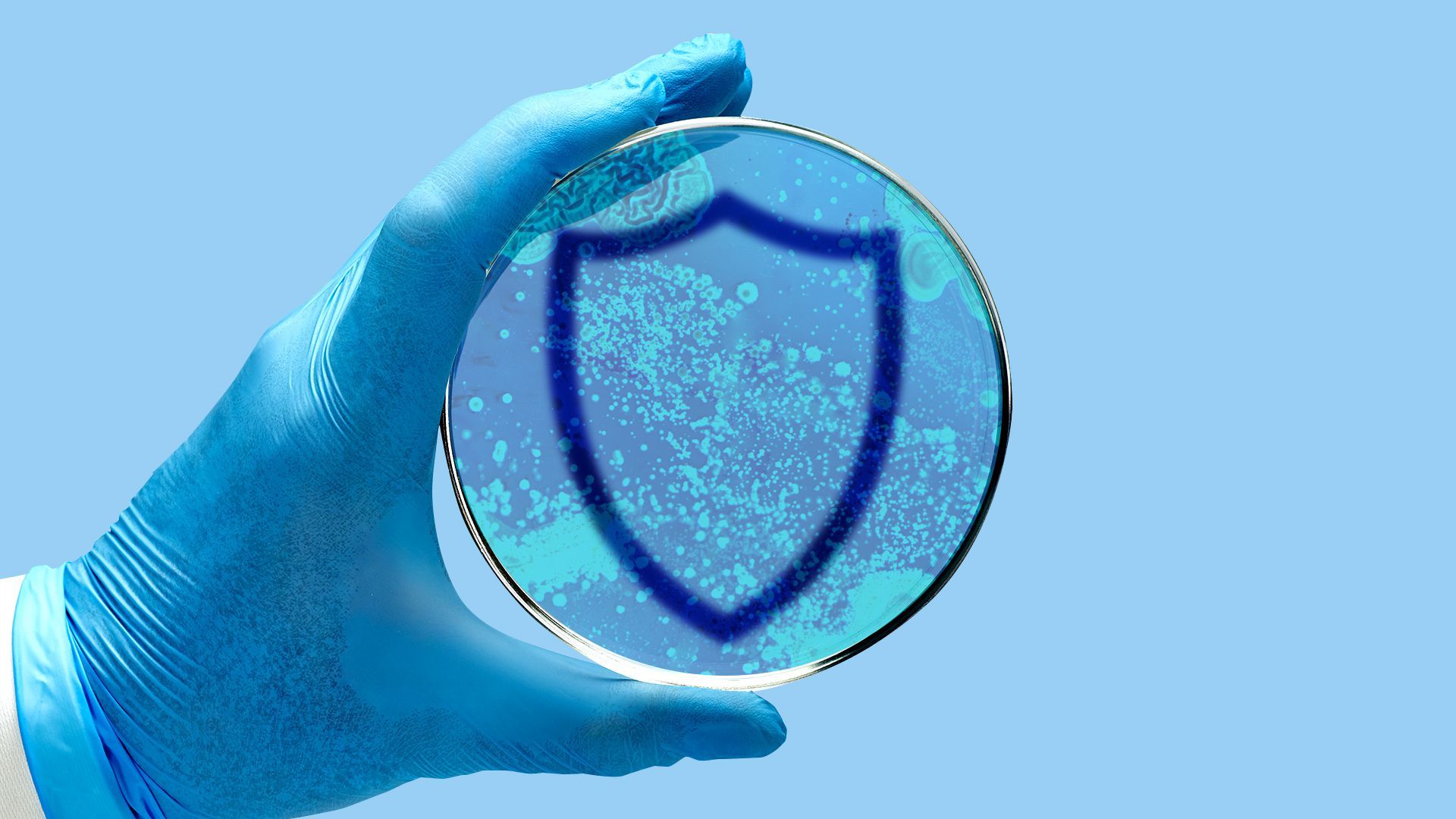 Illustration of a hand holding a petri dish with a shield made from fungi in the dish.