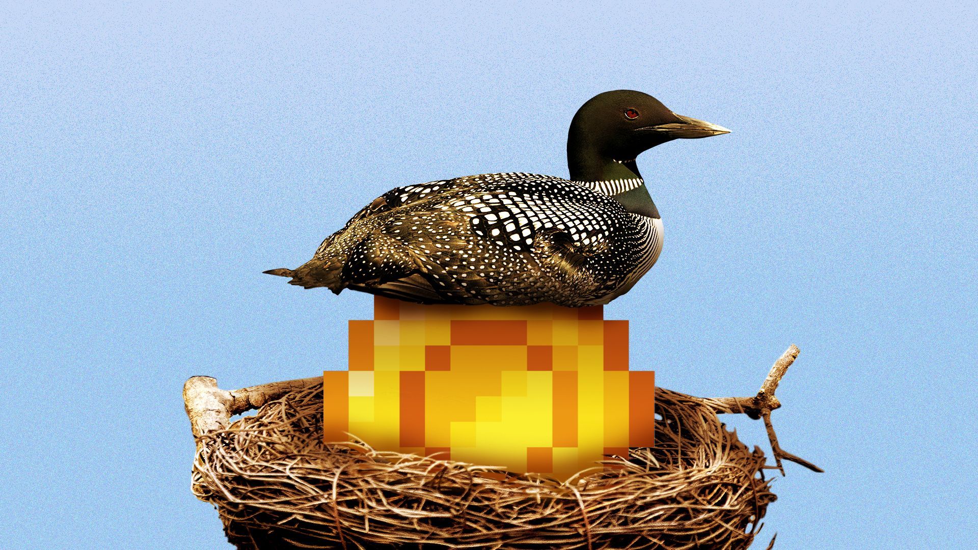 Illustration of a loon sitting on top of a large pixel coin.