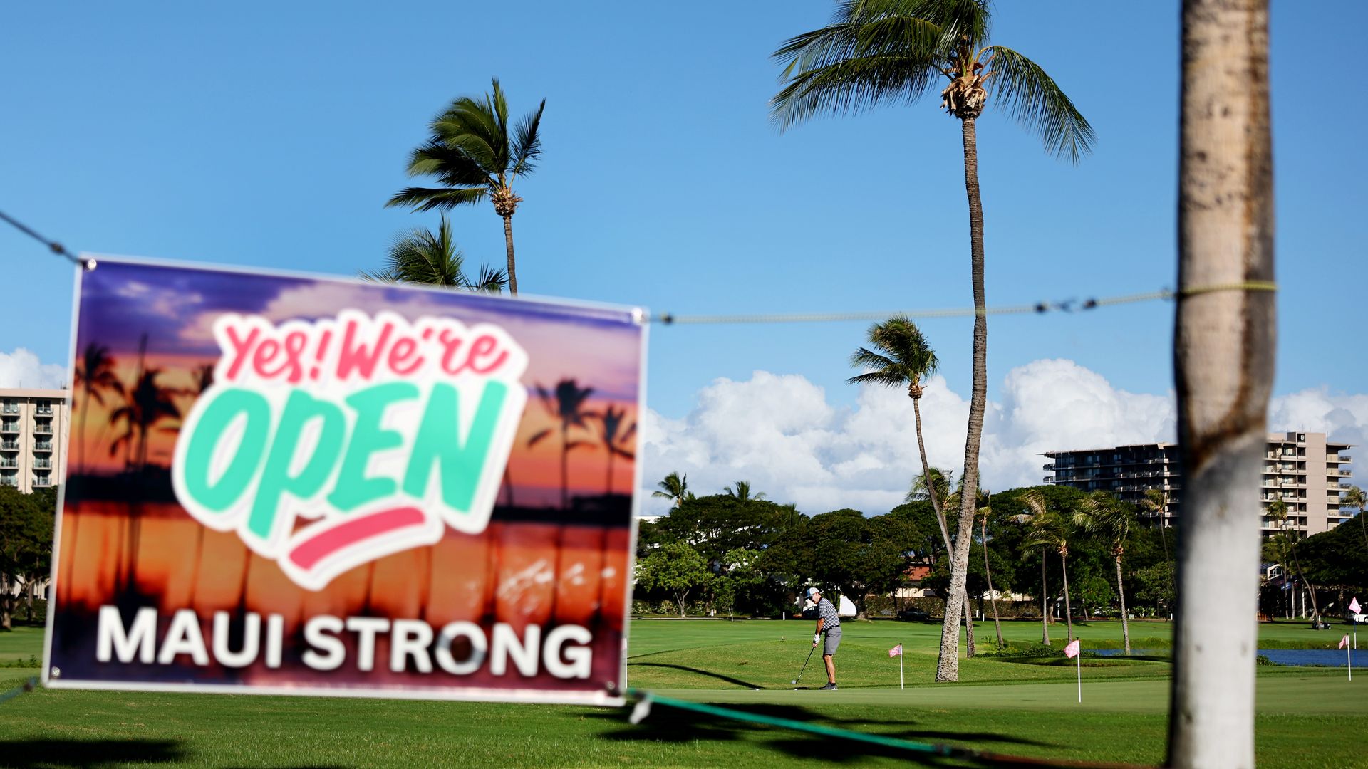 An image of a sign that says "Yes! We're open. Maui Strong." A golf course with palm trees is in the background.