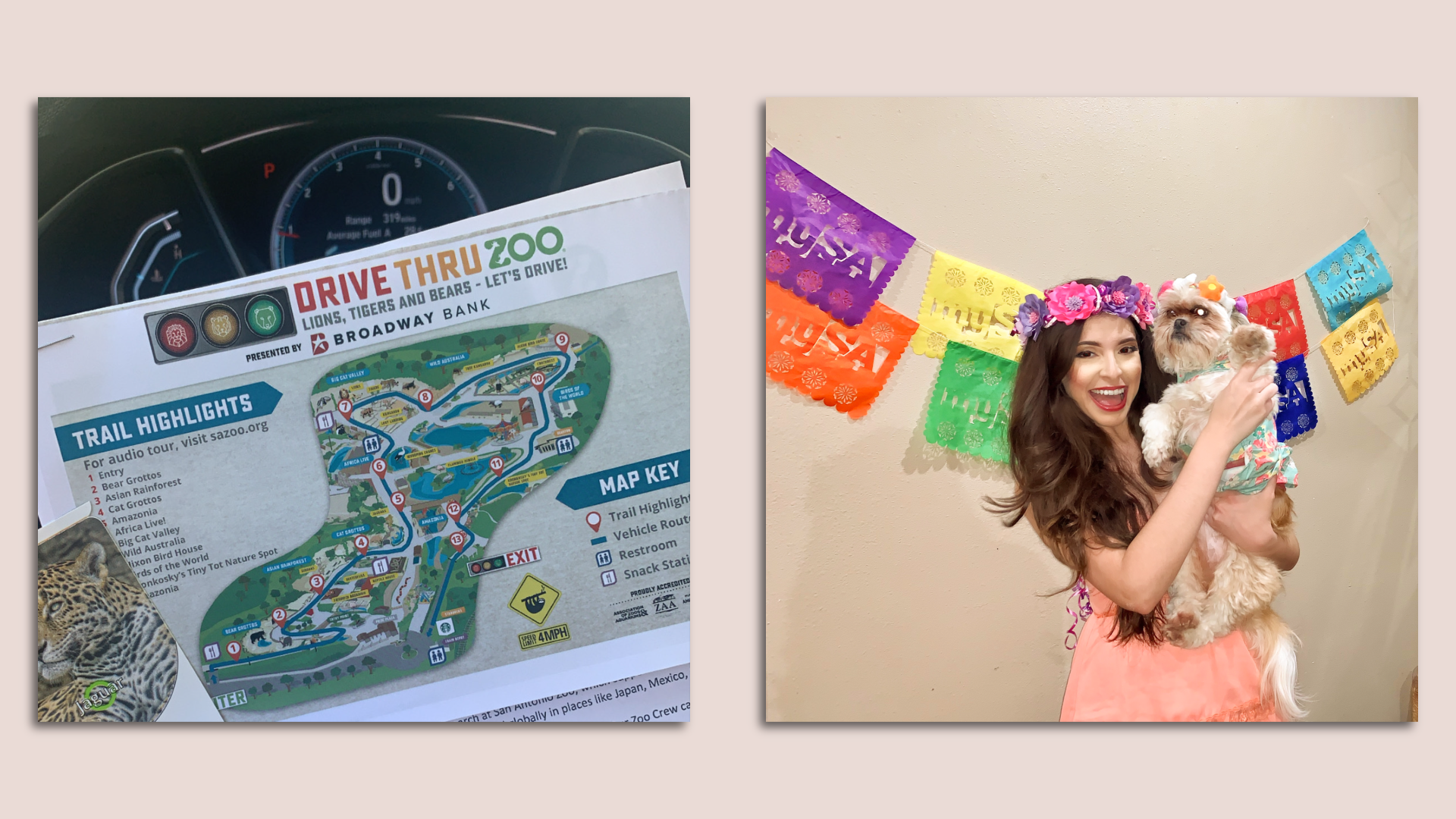 Side-by-side photos showing a map on the left and a woman holding a dog on the right. 