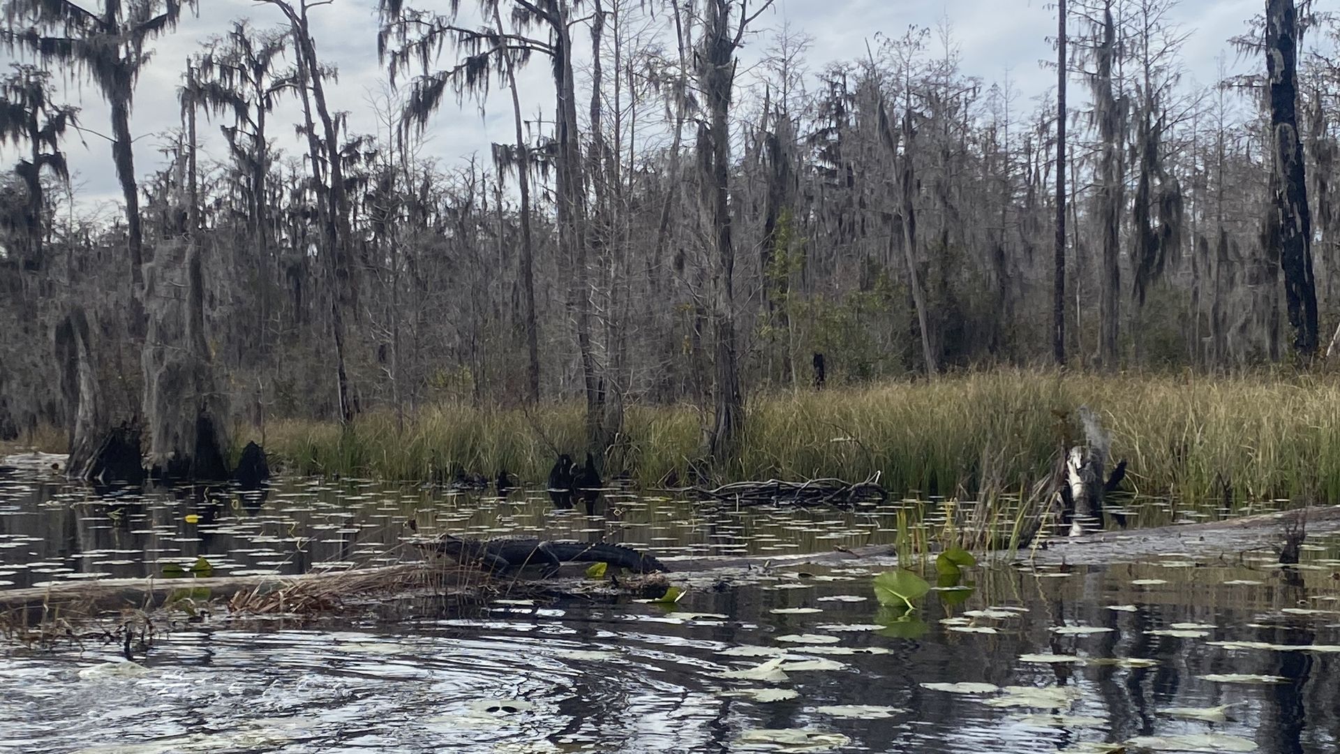 Public Comment Period To Close On Okefenokee Mine Proposal Axios Atlanta   1678977417736 