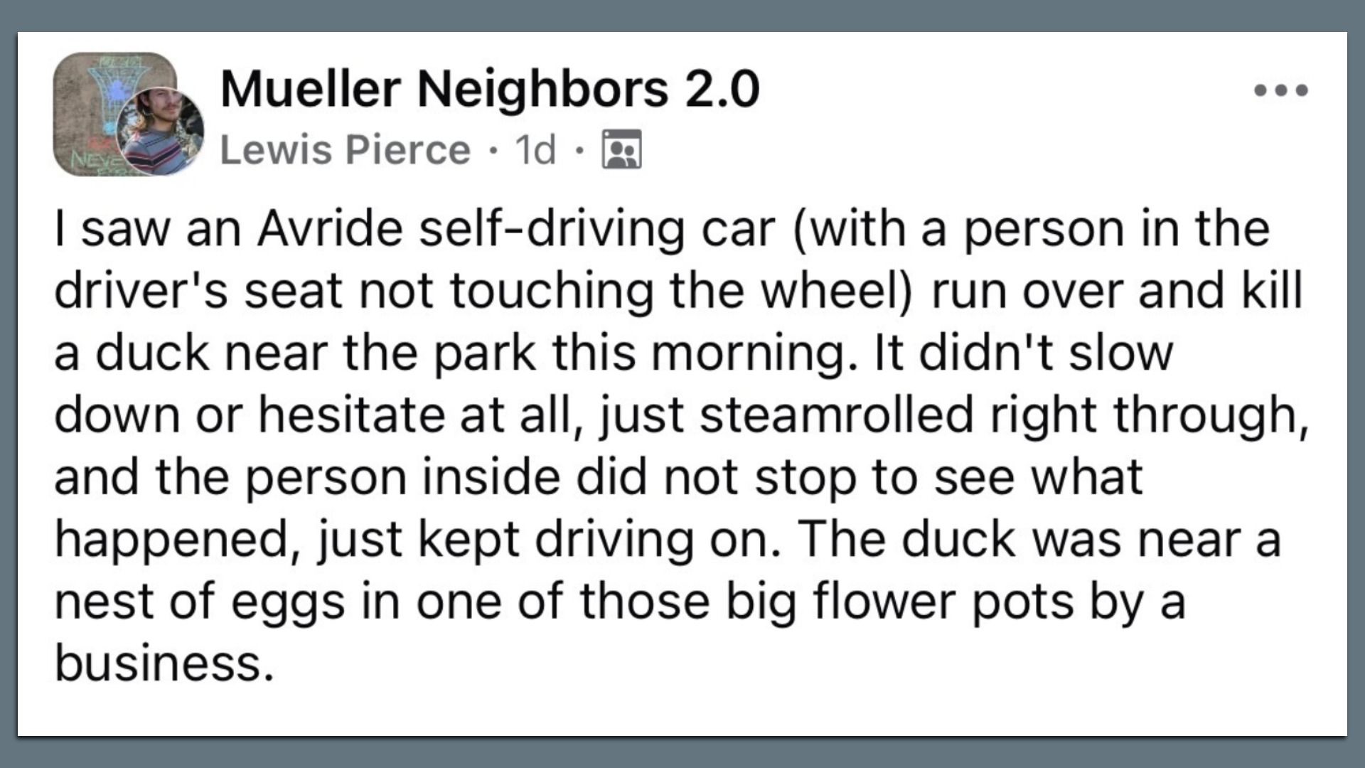 Facebook post screenshot: title "Mueller Neighbors 2.0" by Lewis Pierce, 1d ago. Black text describes an Avride self-driving car running over a duck near the park; the nest of eggs sits in a flower pot.