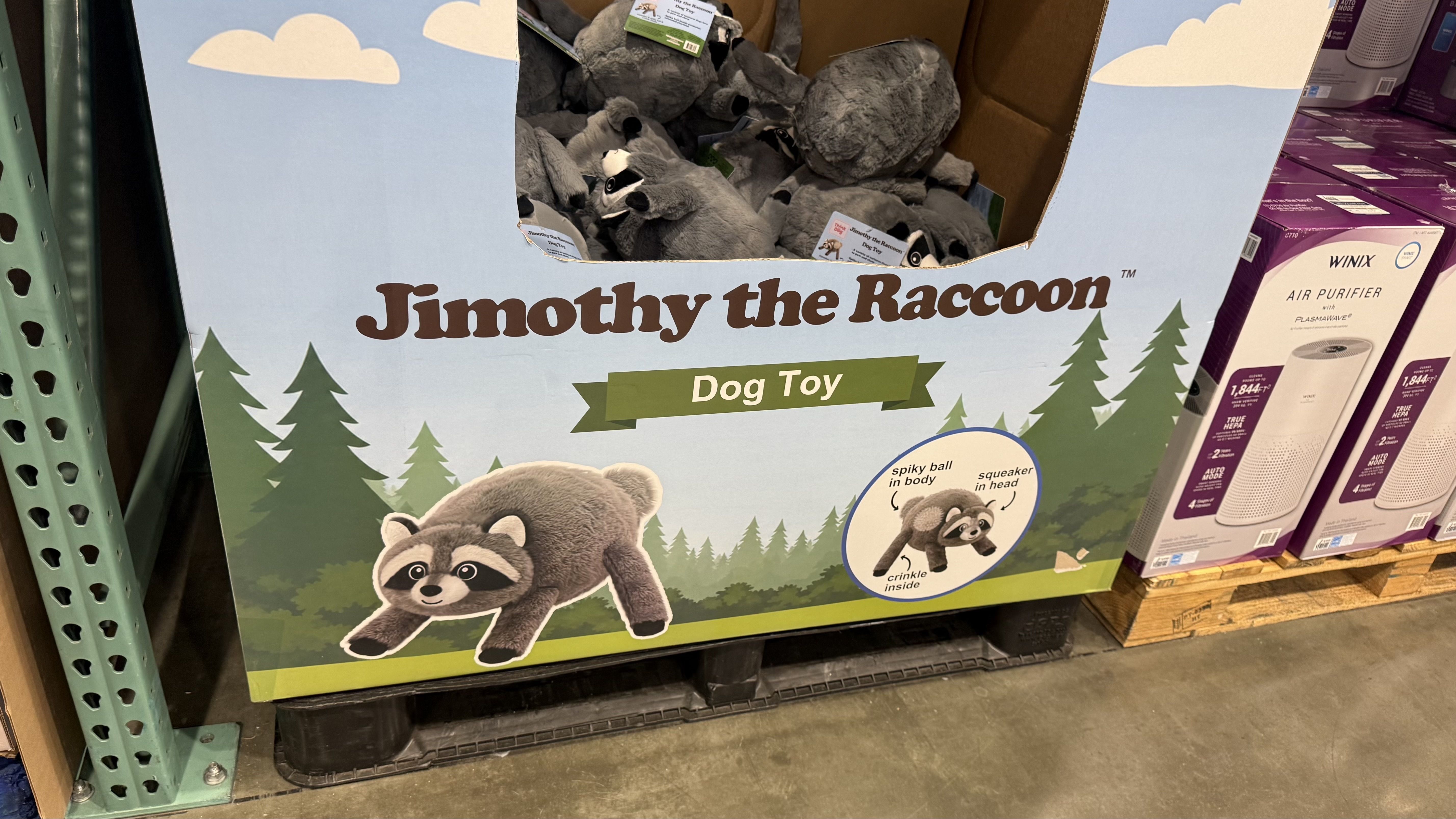 Box labeled "Jimothy the Raccoon" contains gray raccoon plush toys; blue packaging with clouds and trees, green banner reading "Dog Toy".