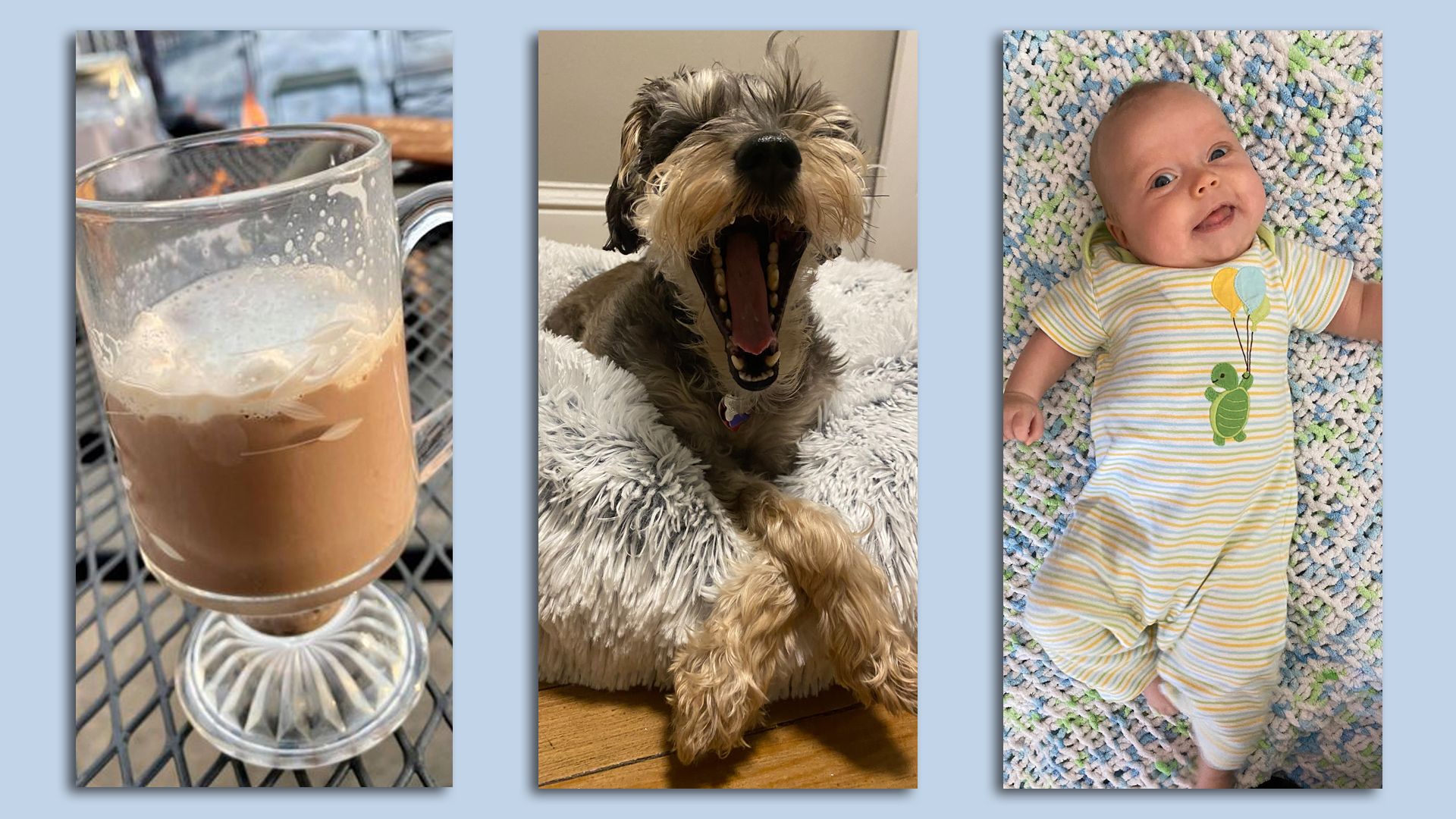 Photos of our readers pandemic silver linings.