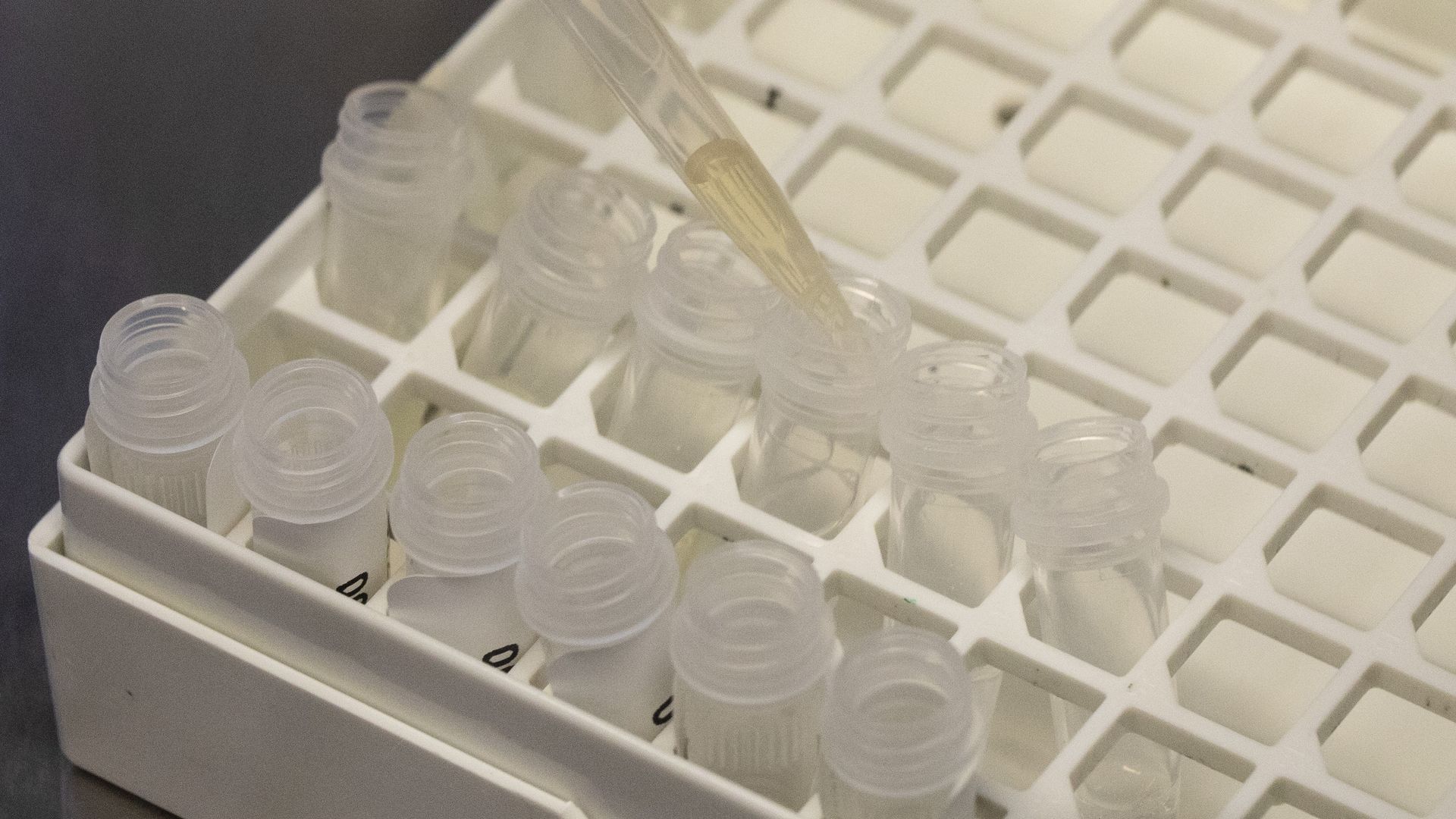 A syringe of liquid with several test tubes of monkeypox samples.