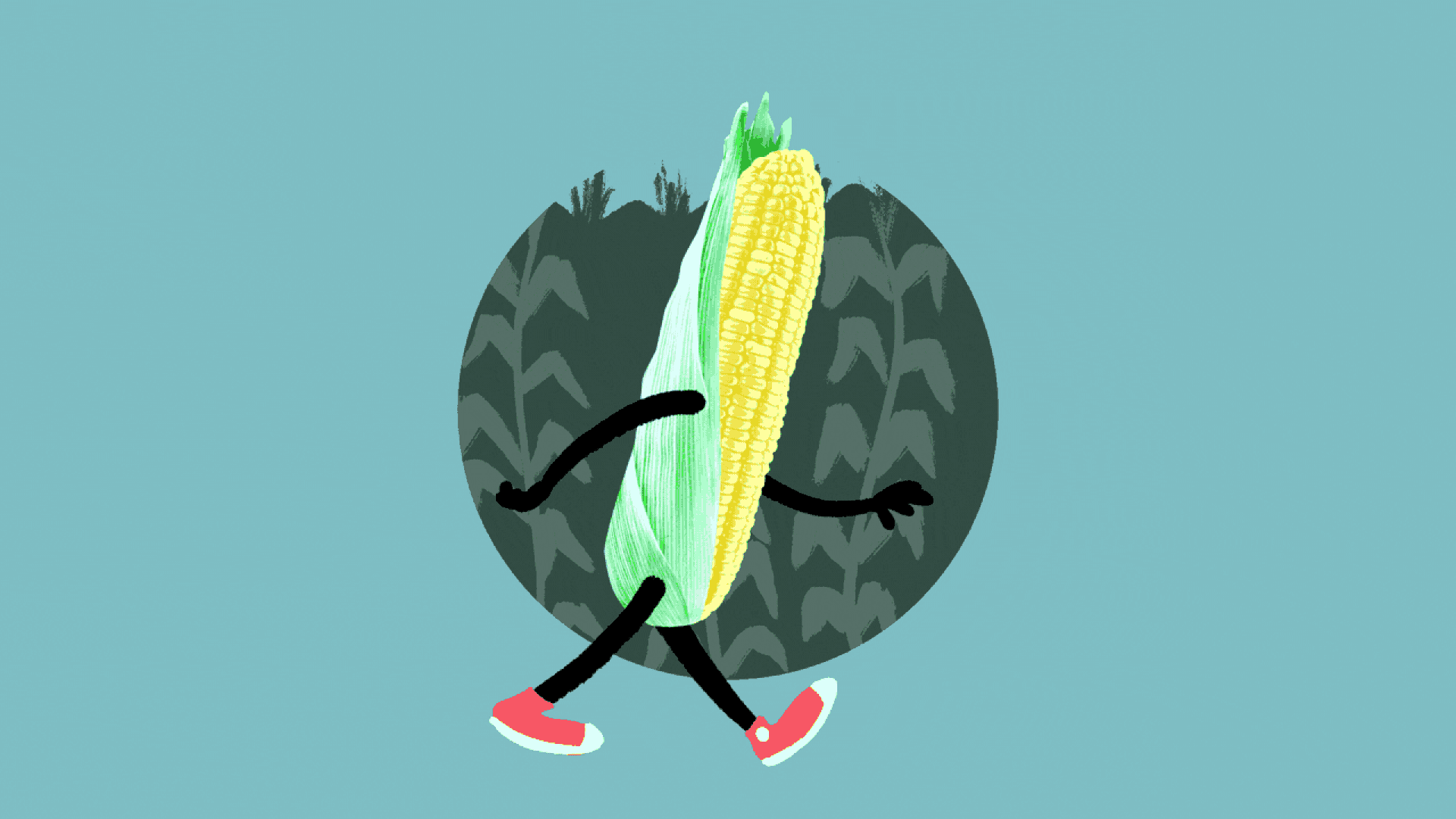 Illustration of an animated ear of corn, walking past a cornfield.