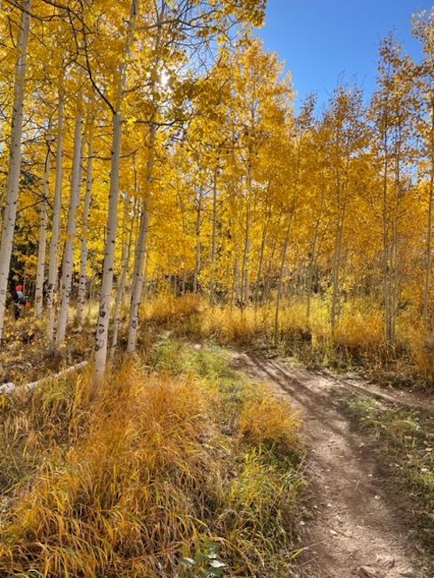 Acorn Loop trail near Silverthorne, Sept. 27. Photo courtesy of Kathy Malone