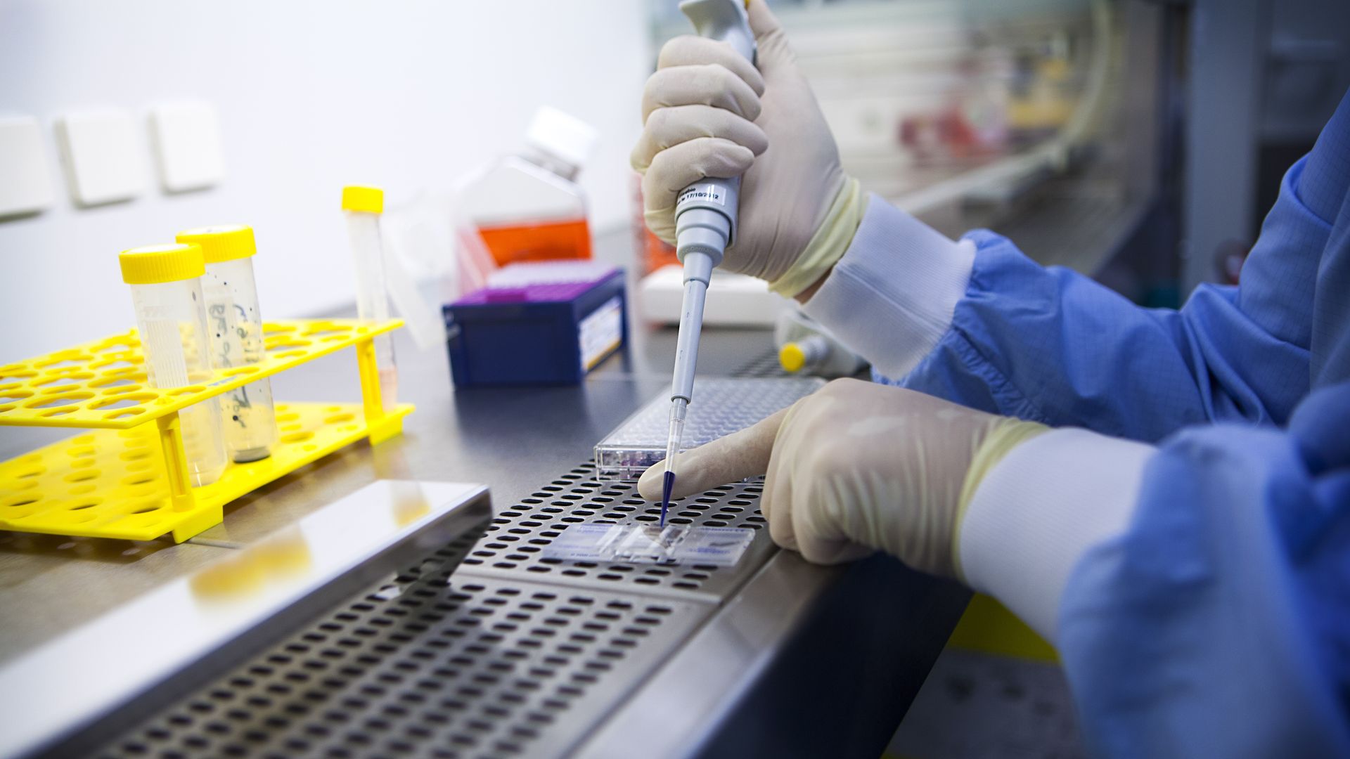 A researcher works in a lab