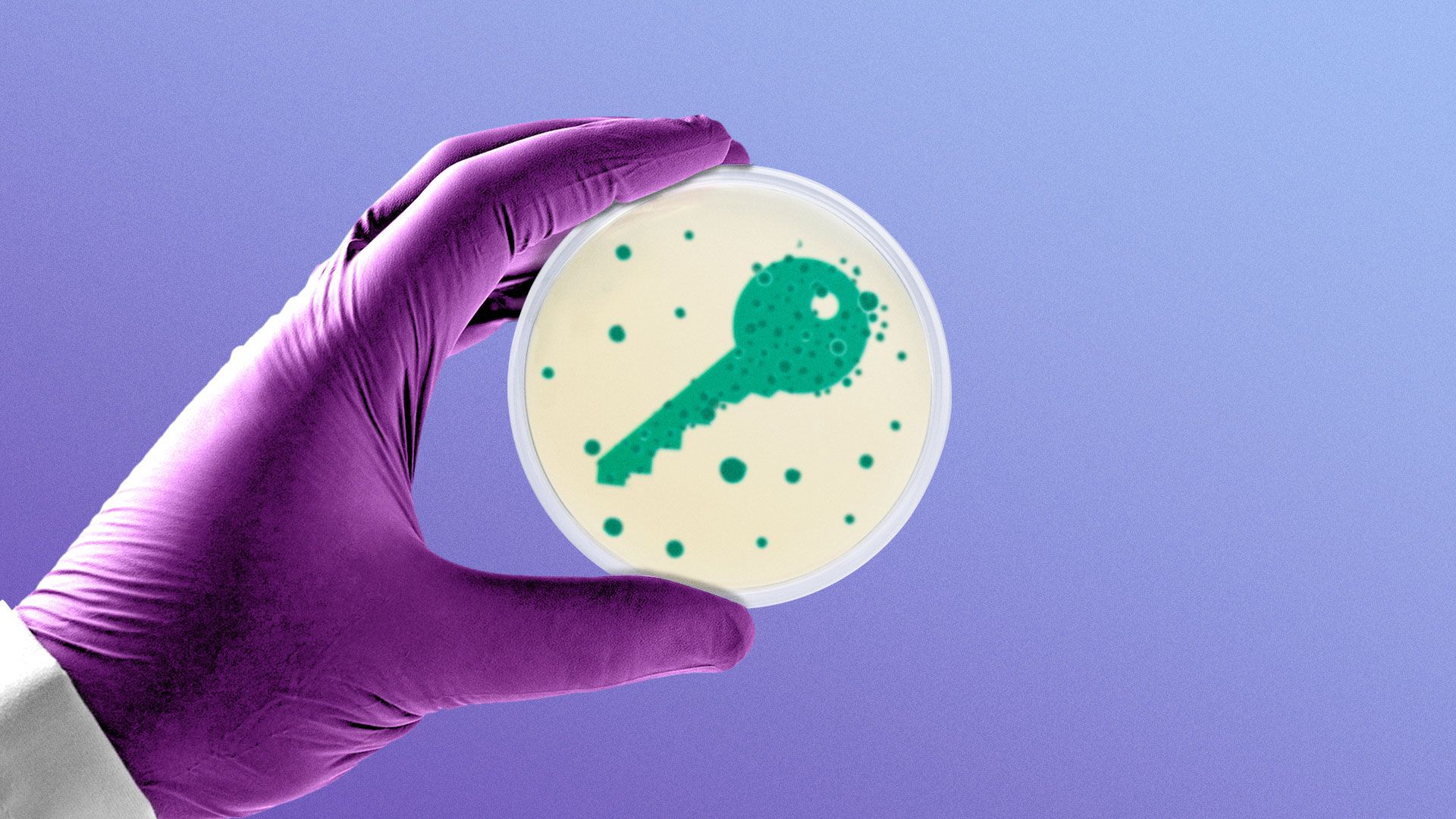 Illustration of gloved hand holding a petri dish with a key