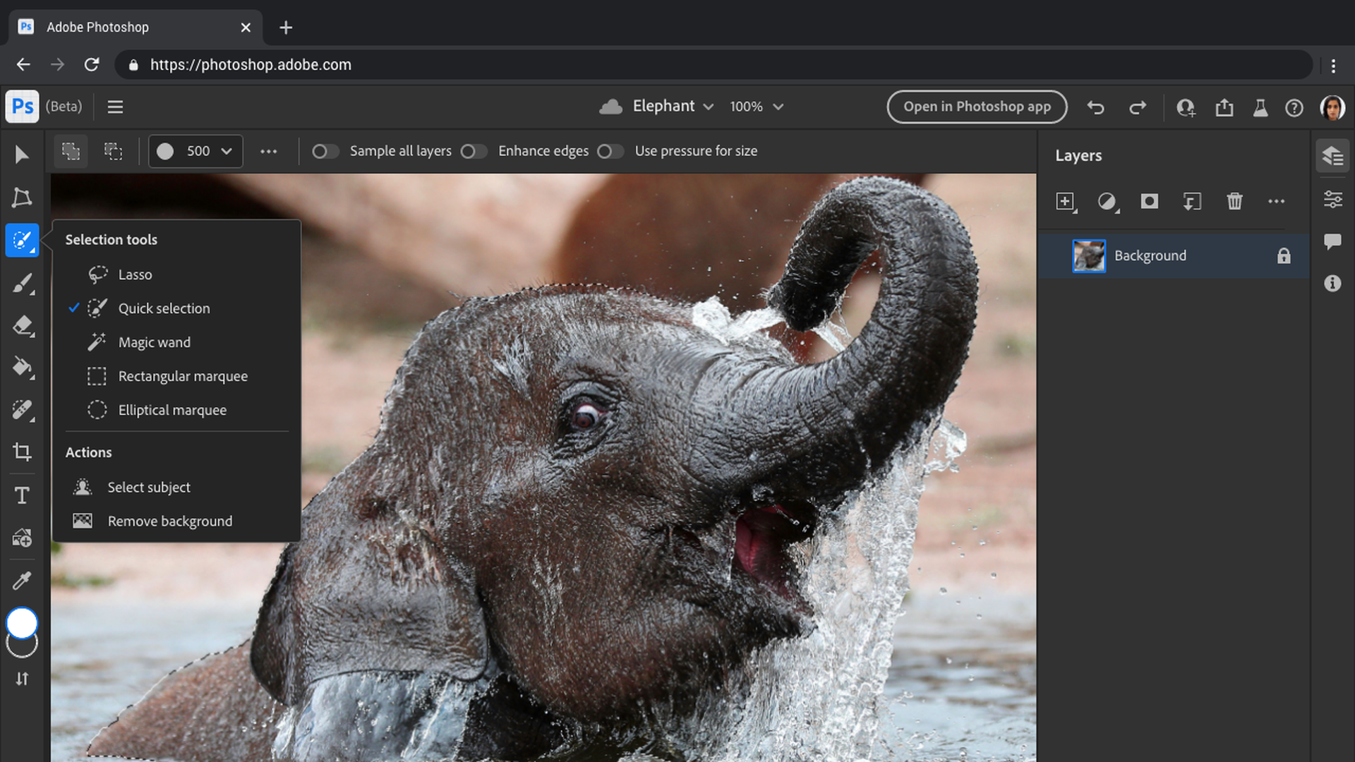 A screenshot from Photoshop for the Web featuring a baby elephant and the program's editing tools