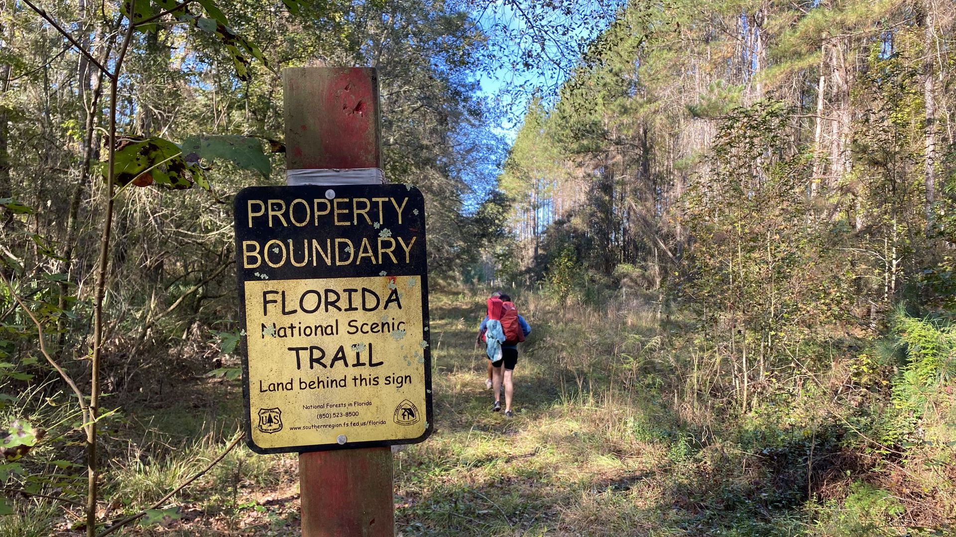 A sign marks the Florida Scenic Trail through a patch of woods.