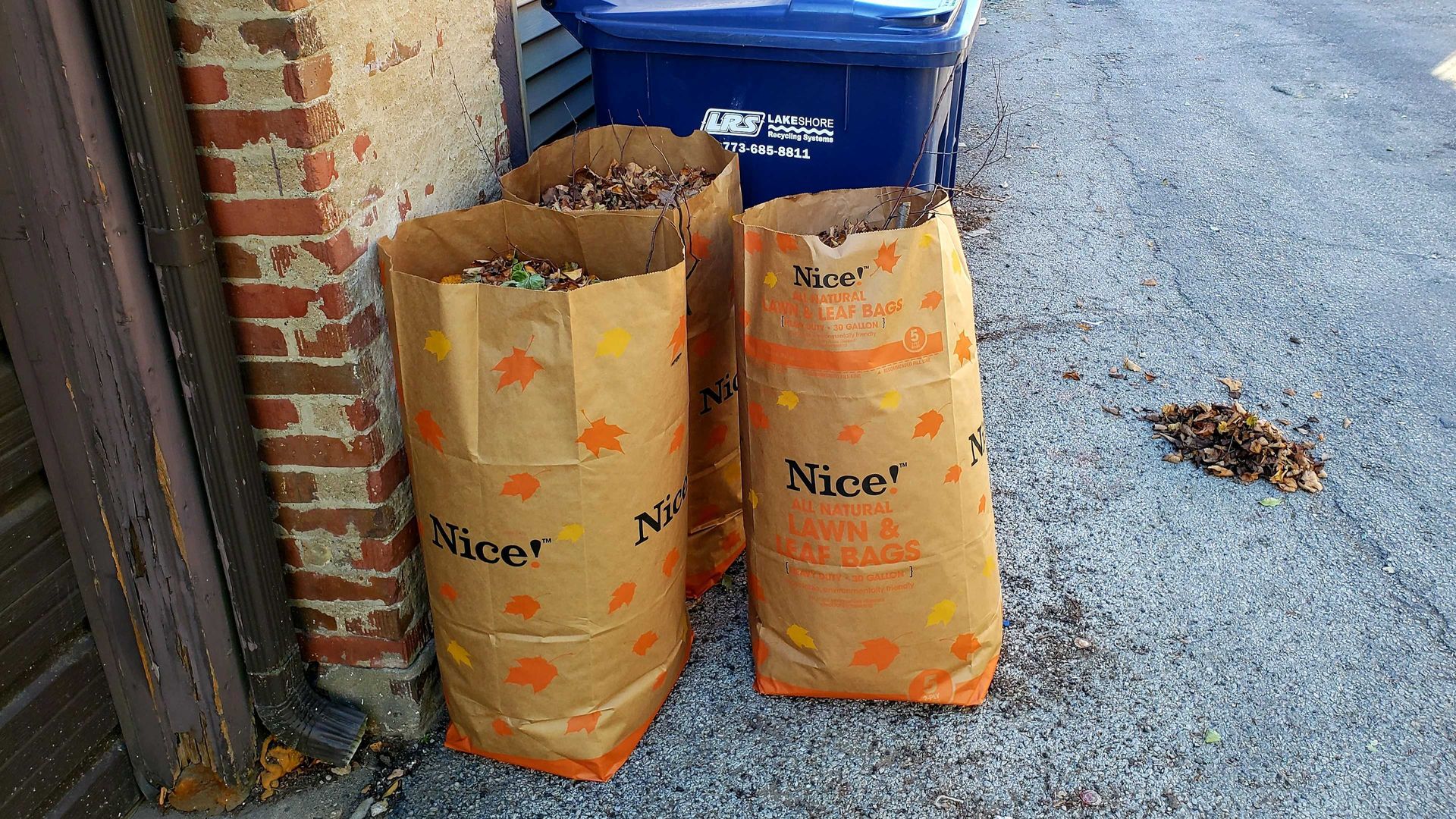 bags of leaves in an alley 