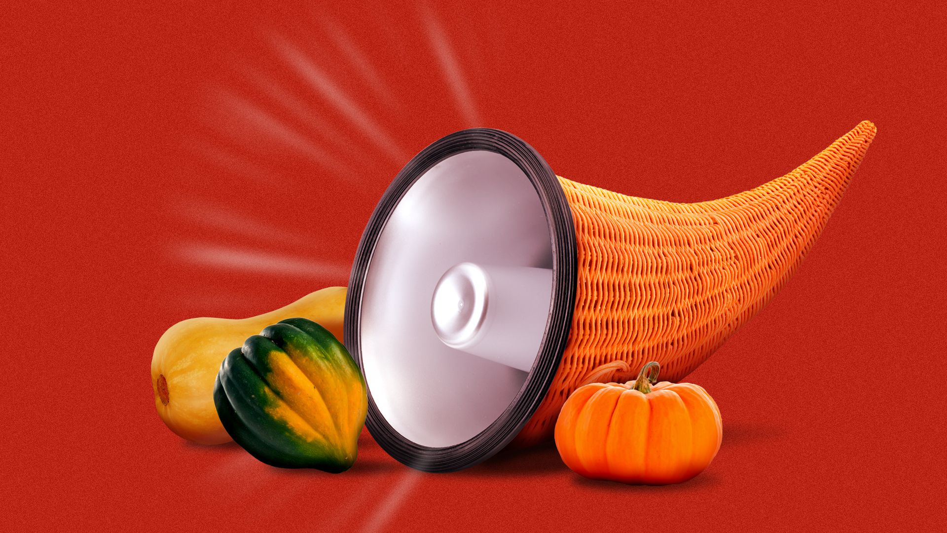 Illustration of a cornucopia with a megaphone for an opening surrounded by autumnal squashes
