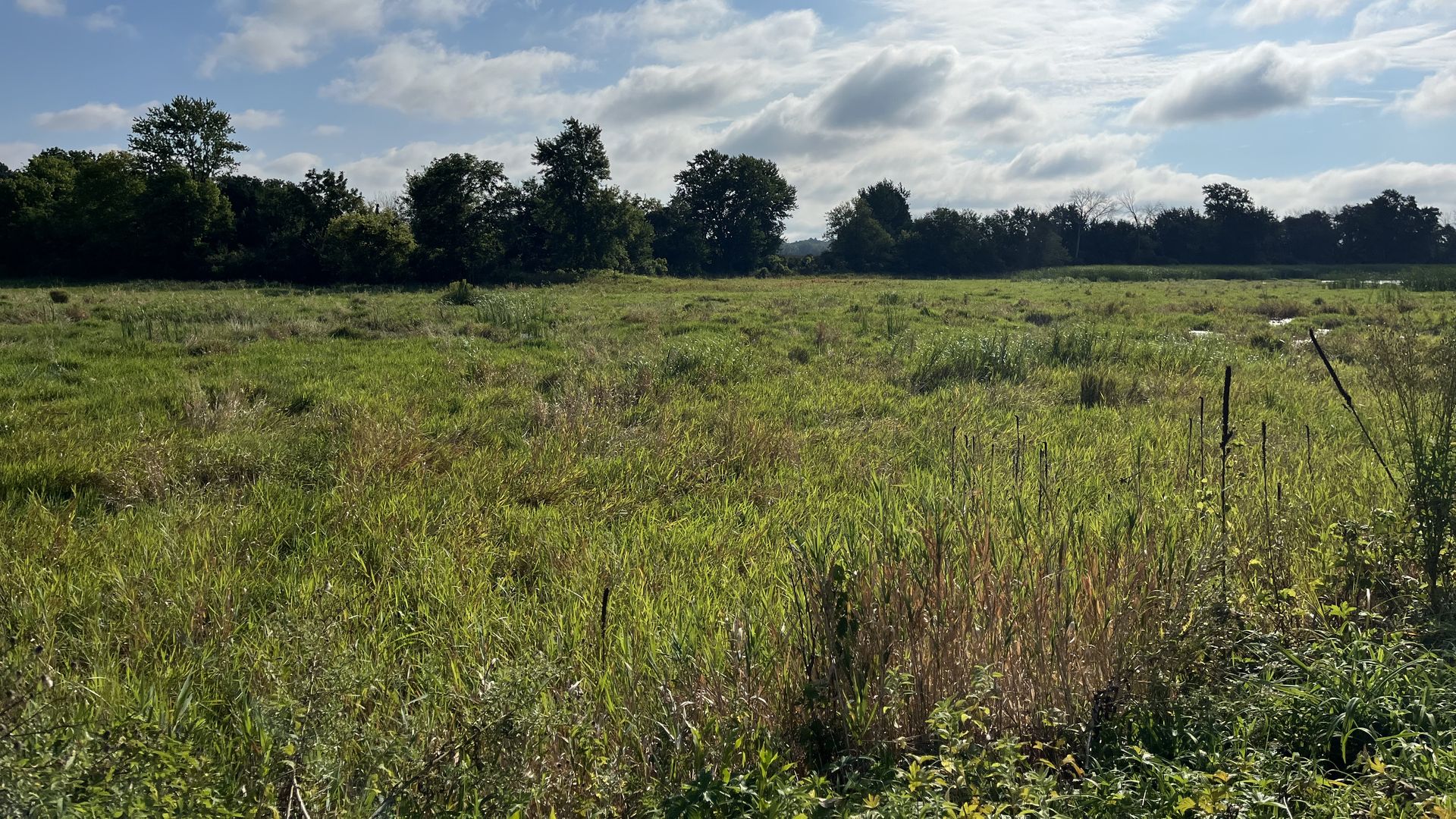 The former area of Fisher Lake