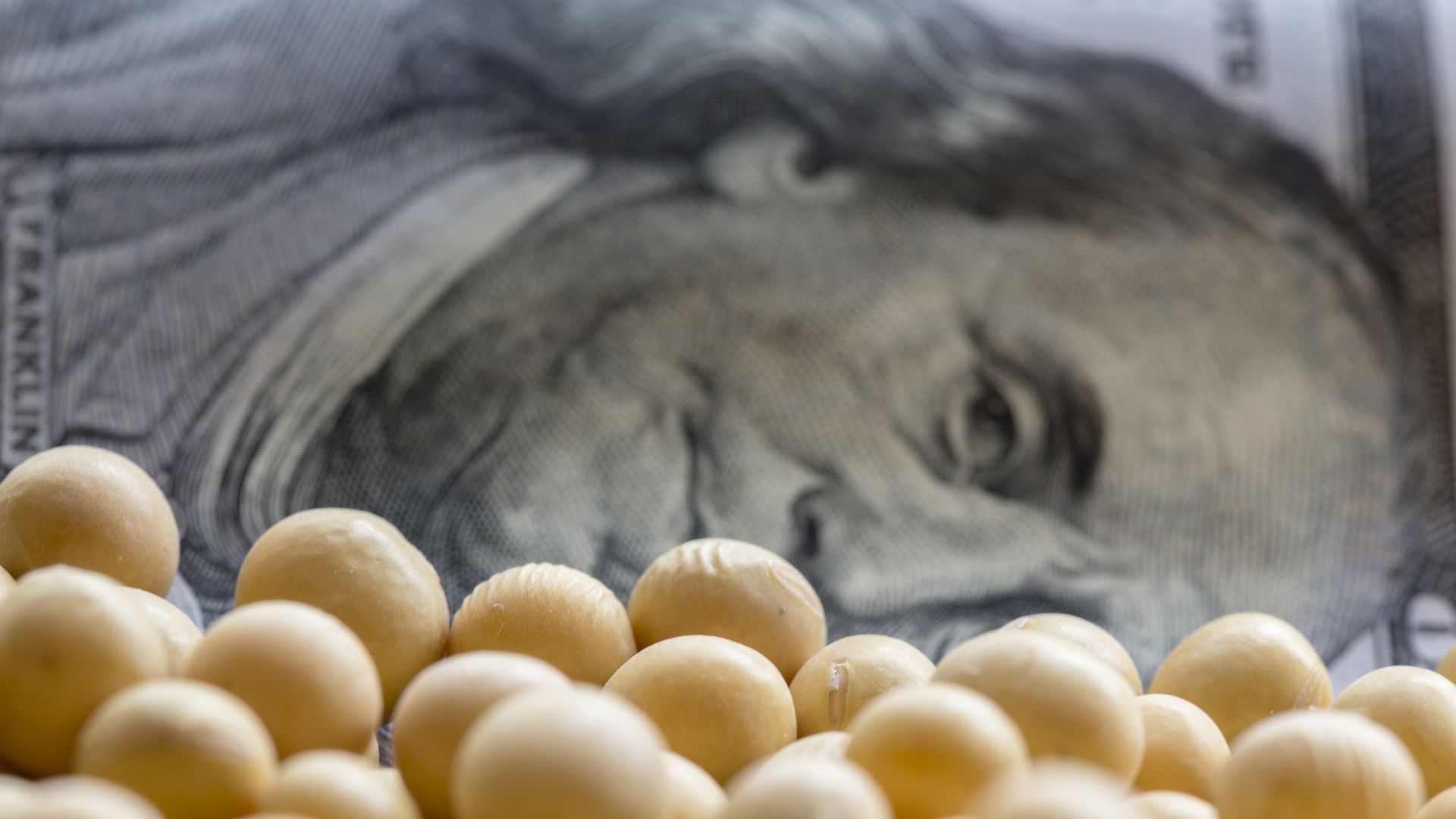 Soybeans and Banknotes of US Dollar.