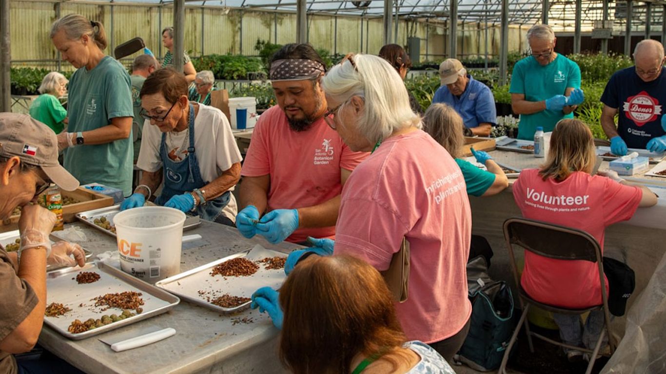 San Antonio Botanical Garden is reforesting the Guadalupe after flood
