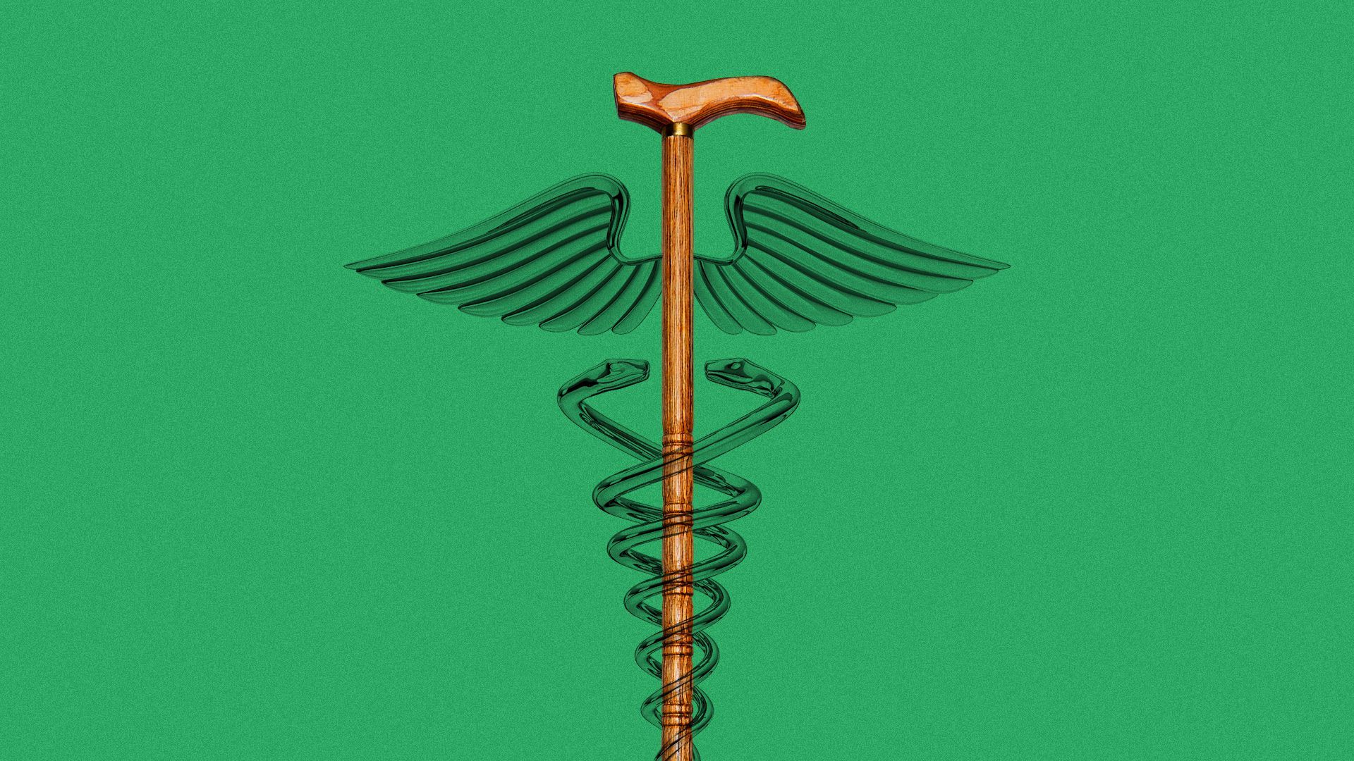 Illustration of a cane forming the center staff of a caduceus.