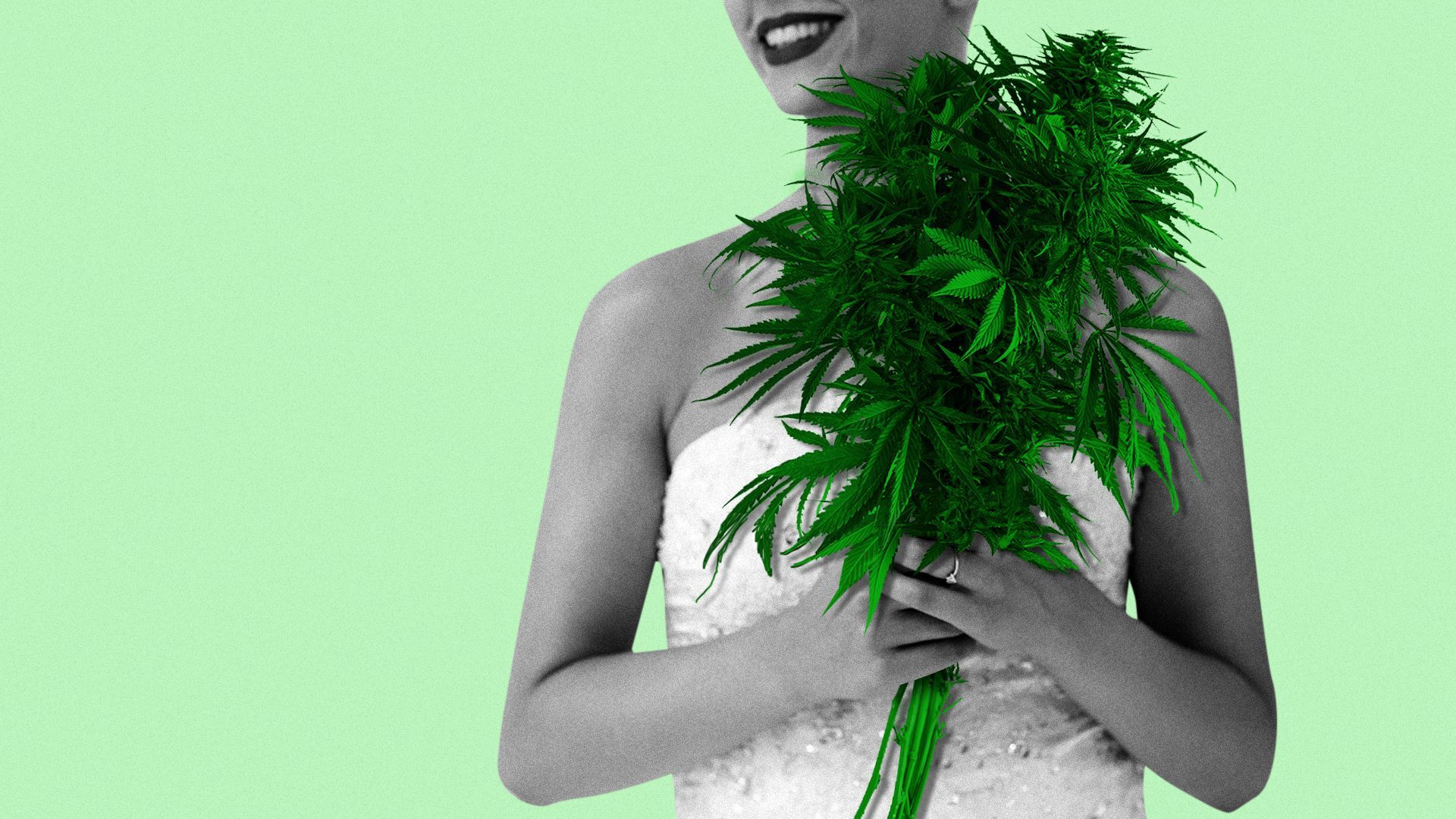 Illustration of a bride holding a bouquet of marijuana plants