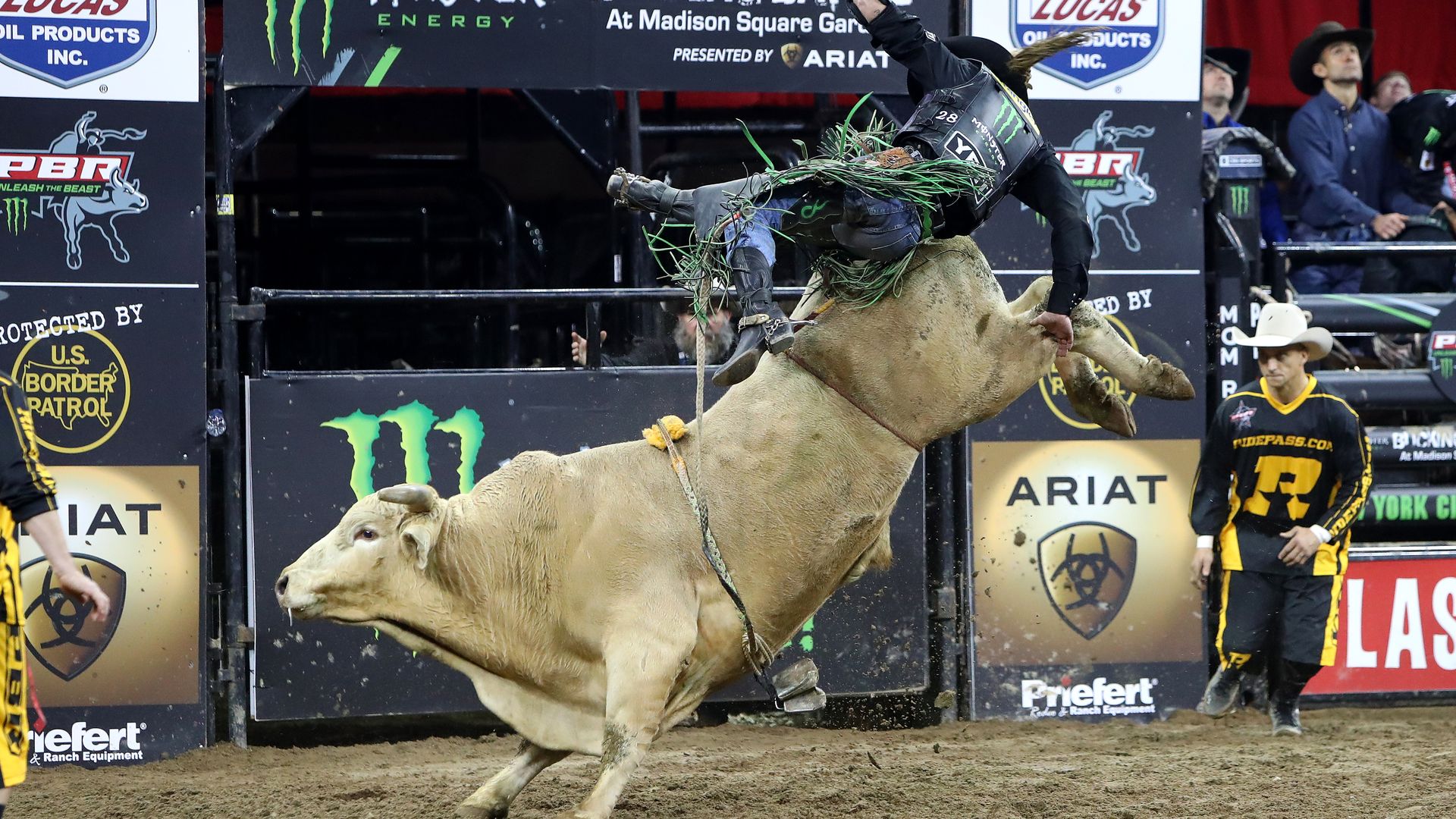 A bull rider getting bucked off a horse