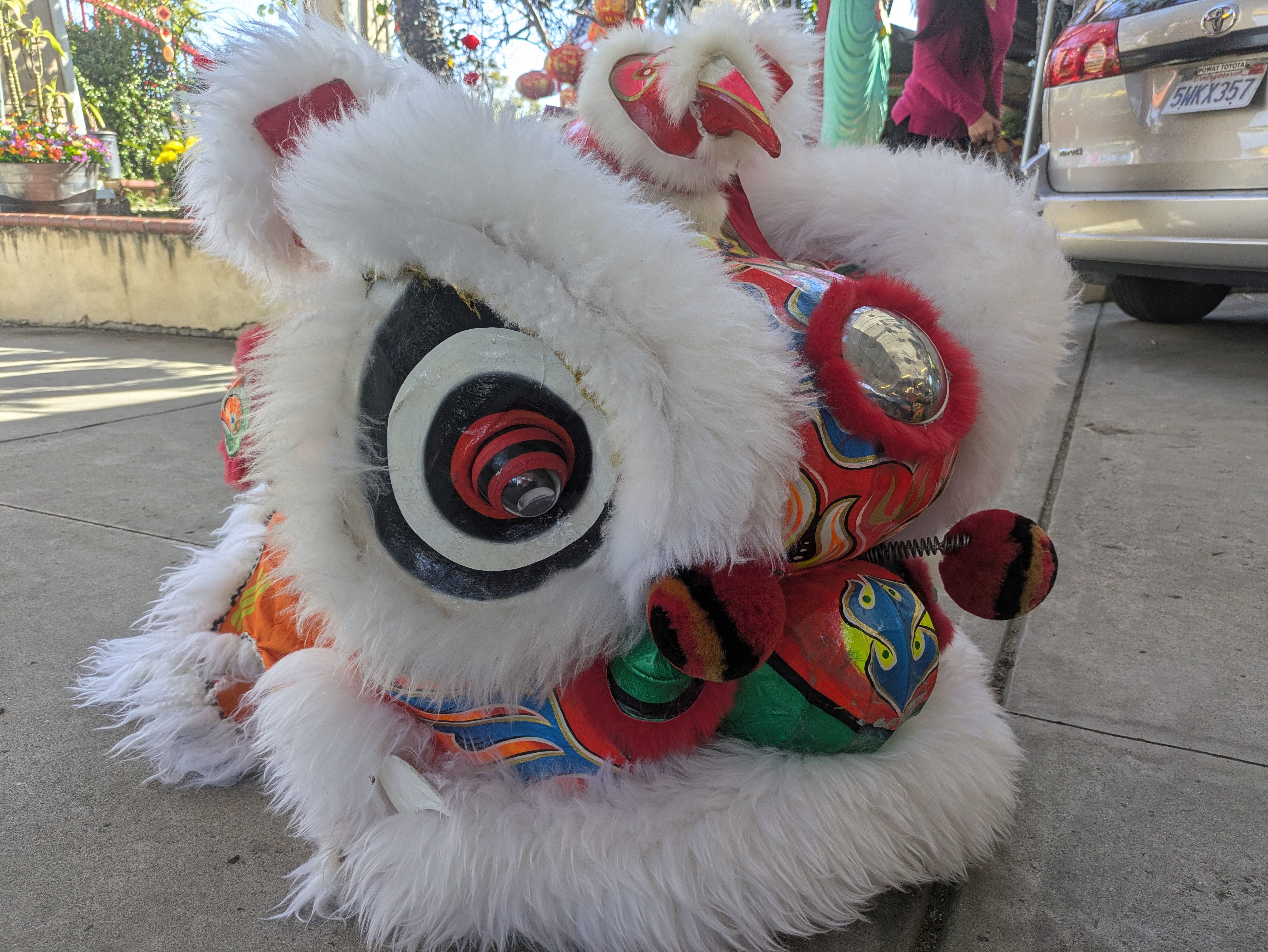 A lion head sits on the ground
