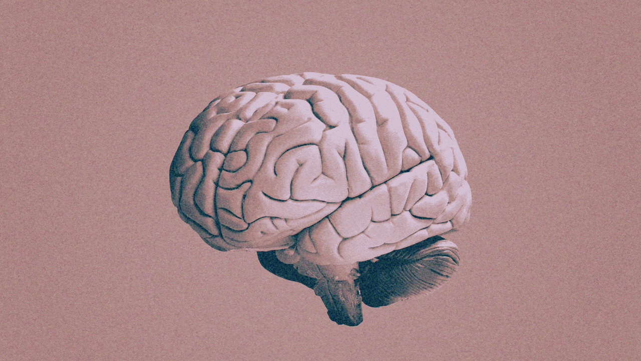 Brain implants fuel U.S.-China bioscience rivalry