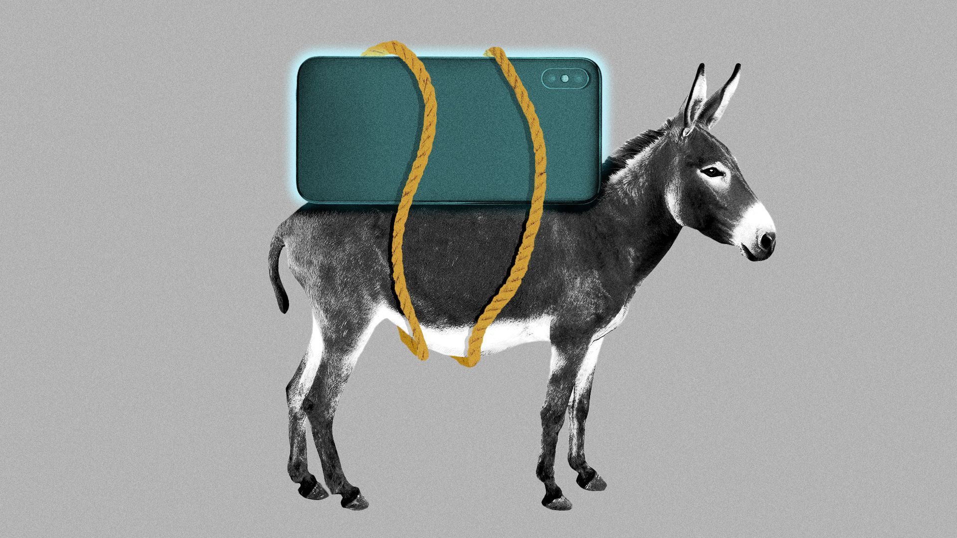 Illustration of a donkey with a smart phone strapped to its back.