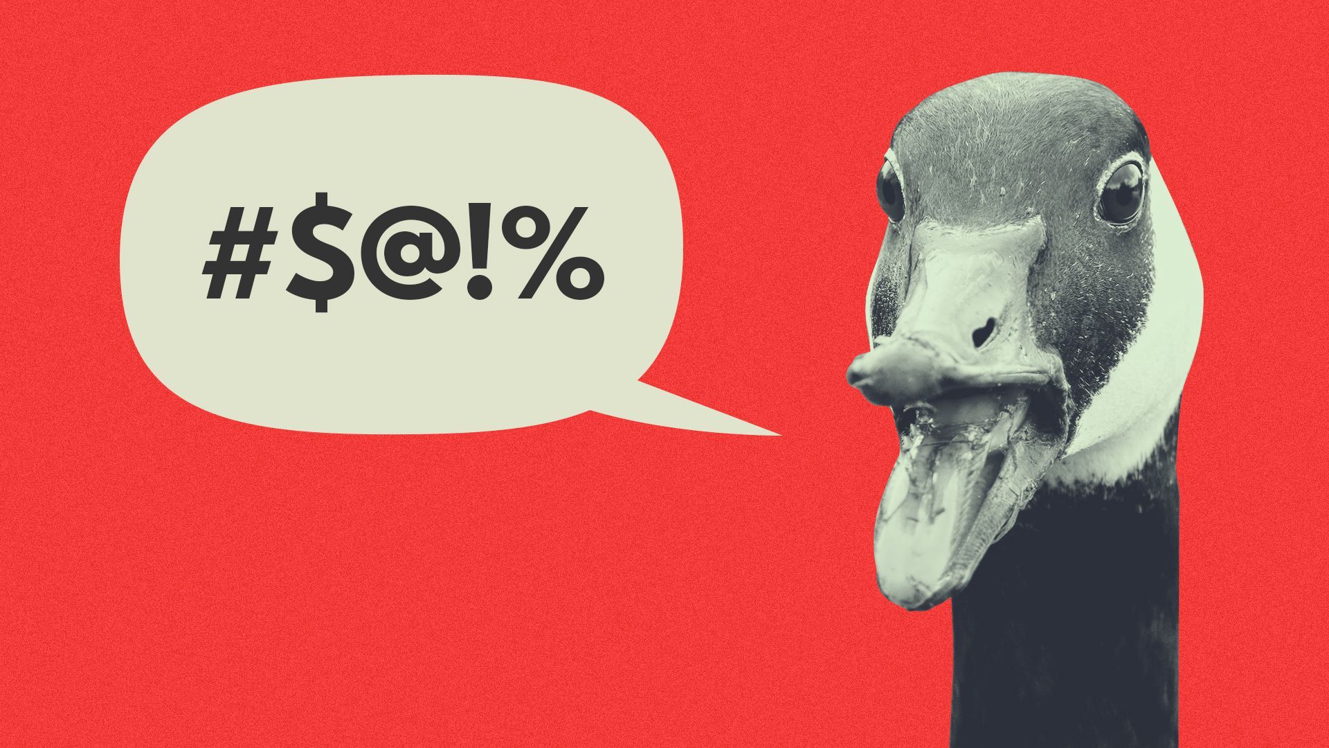 Illustration of a Canadian goose with a word balloon coming out of its mouth, and punctuation symbols replacing a swear in the balloon.