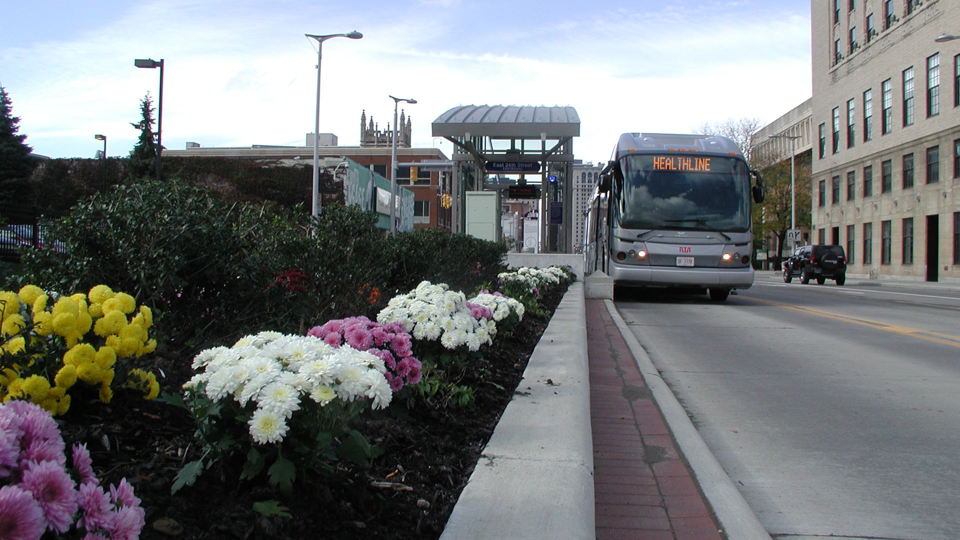 Photo of a bus in a street at a station with flowers in the foreground