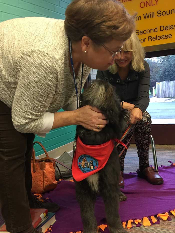 reading-buddy-Librarian