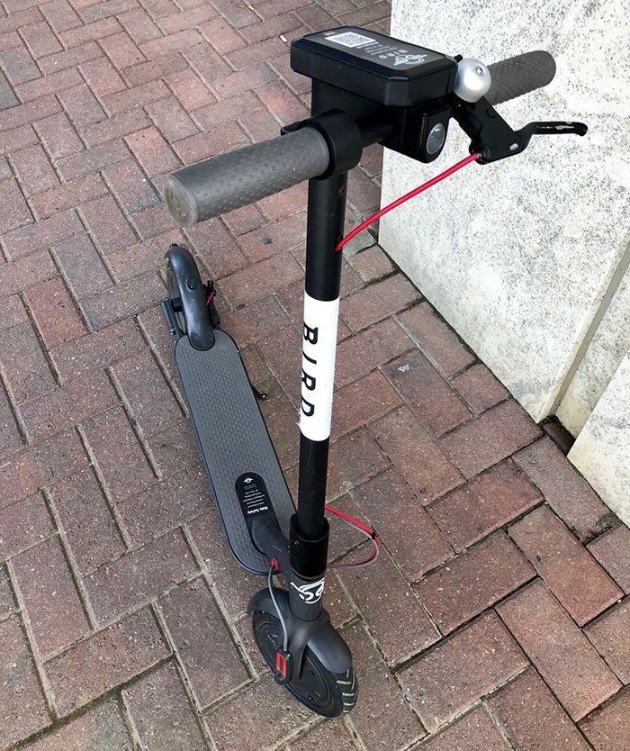 bird-dockless-electronic-scooter-in-charlotte