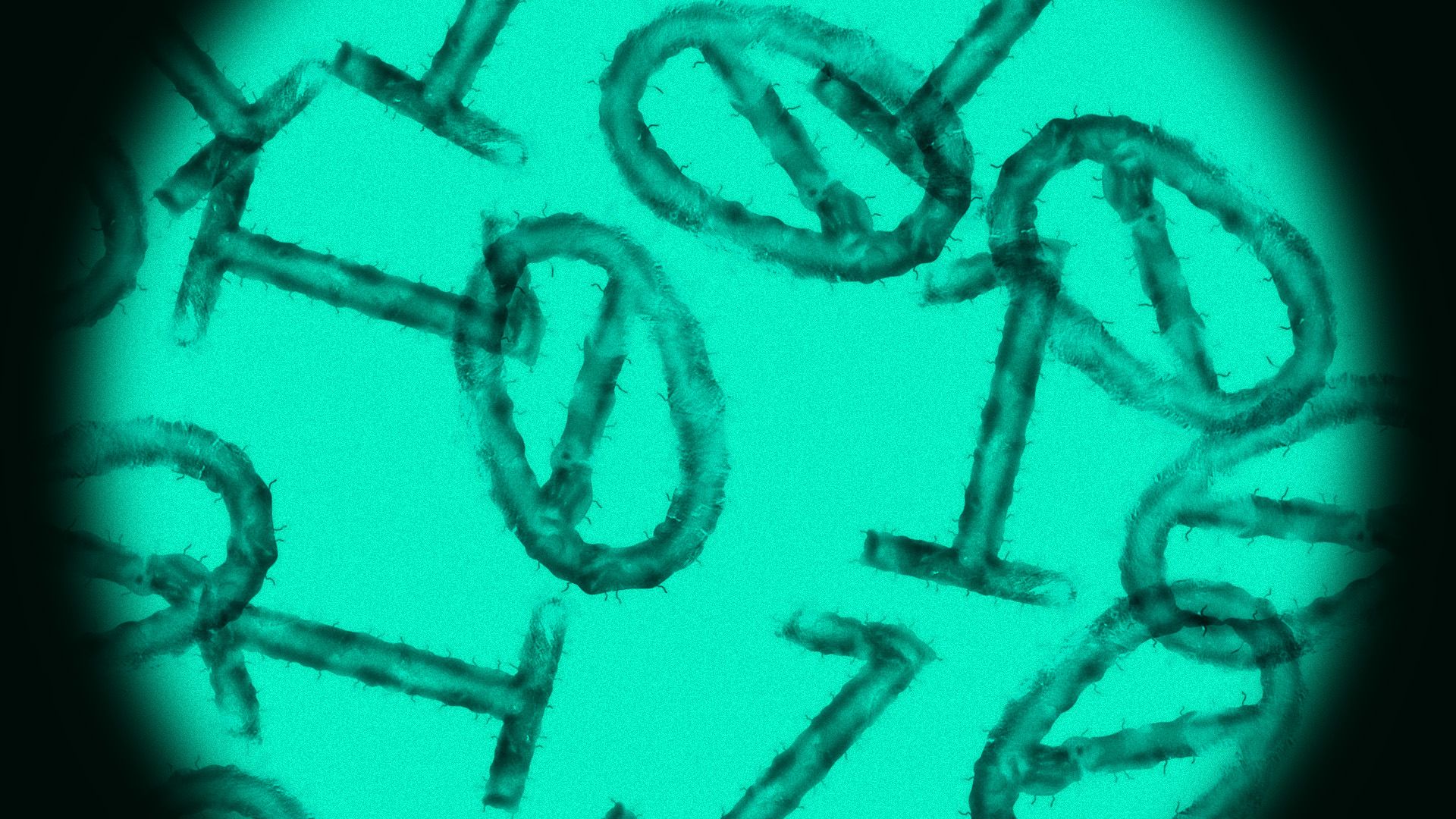 Illustration of bacteria under a lens in the shape of binary code