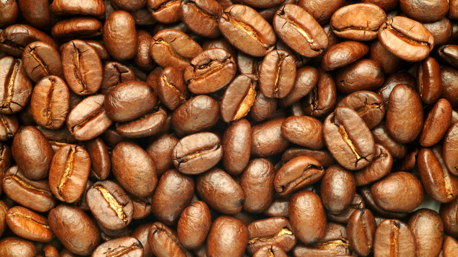 Coffee beans.