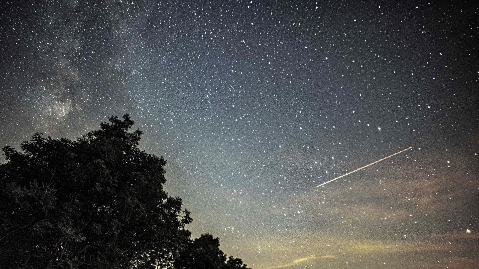 A shooting star streaks across a sky of stars with a tree silhouette in front. 