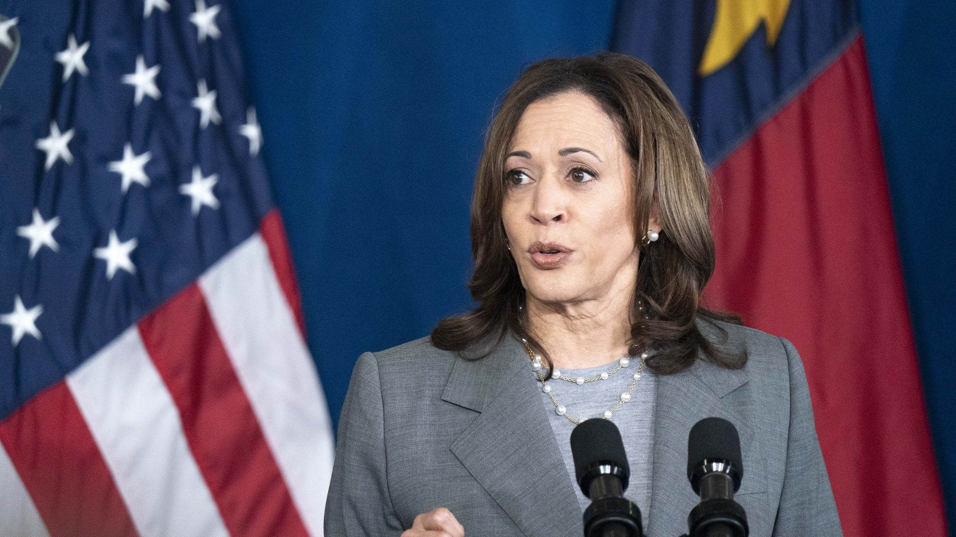 Vice President Kamala Harris speaks to a crowd during a campaign event at James B. Dudley High School on July 11, 2024 in Greensboro, North Carolina. Harris continues campaigning ahead of the presidential election as Democrats face doubts about President Biden's fitness in his run for re-election ag