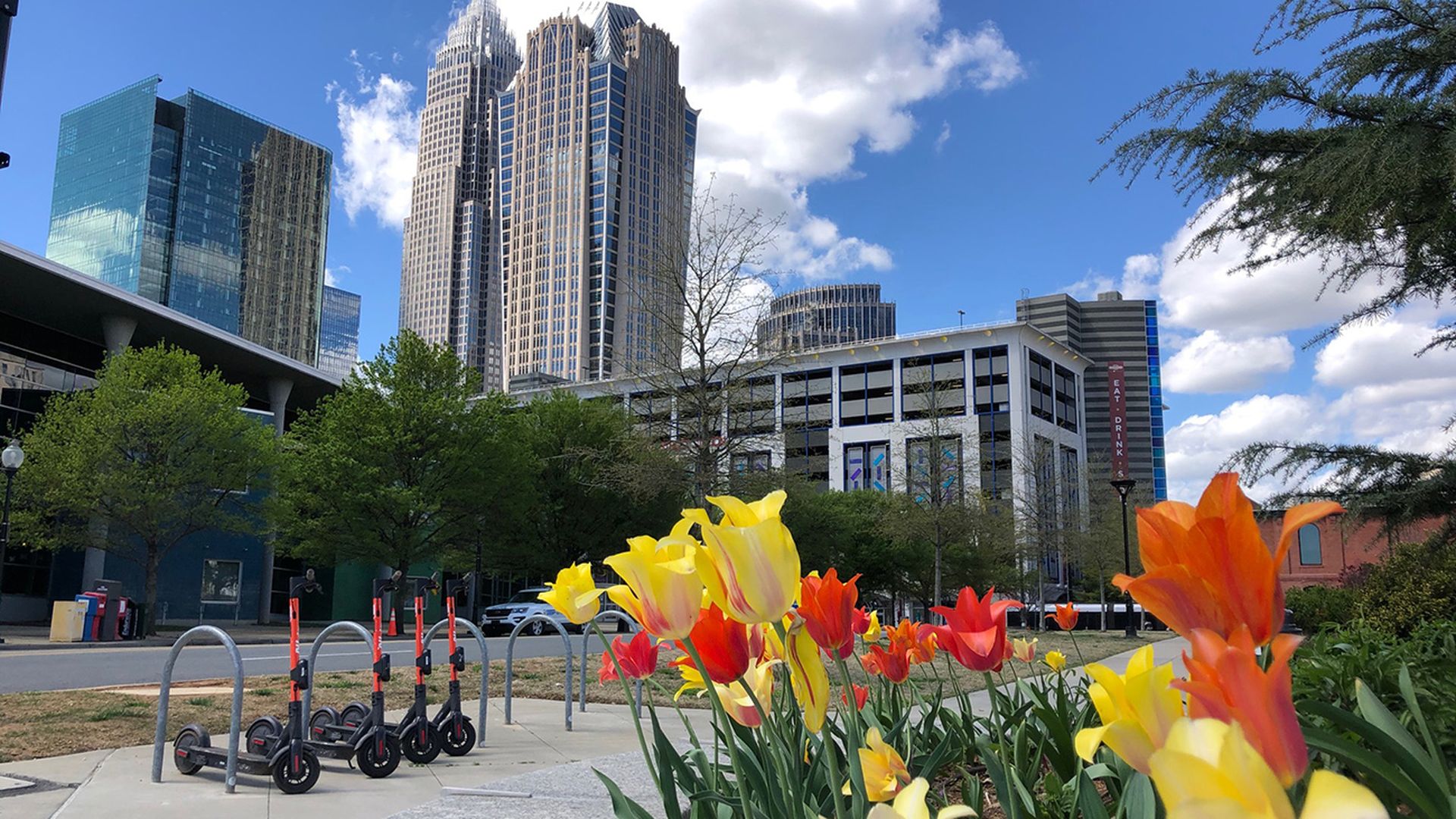 skyline in charlotte