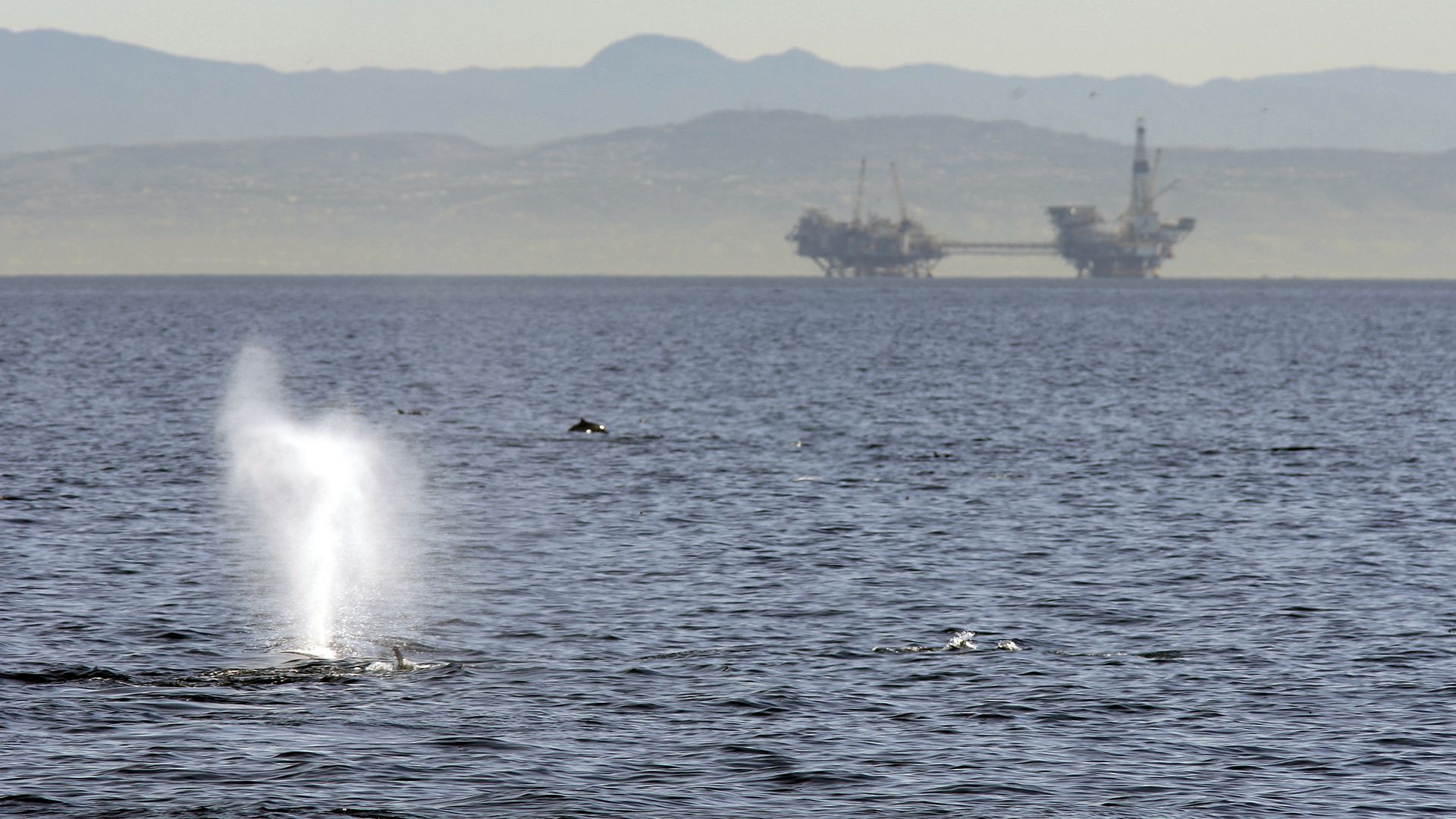 A fin of a whale sticks out from the ocean with two oil rigs in the far distance. 