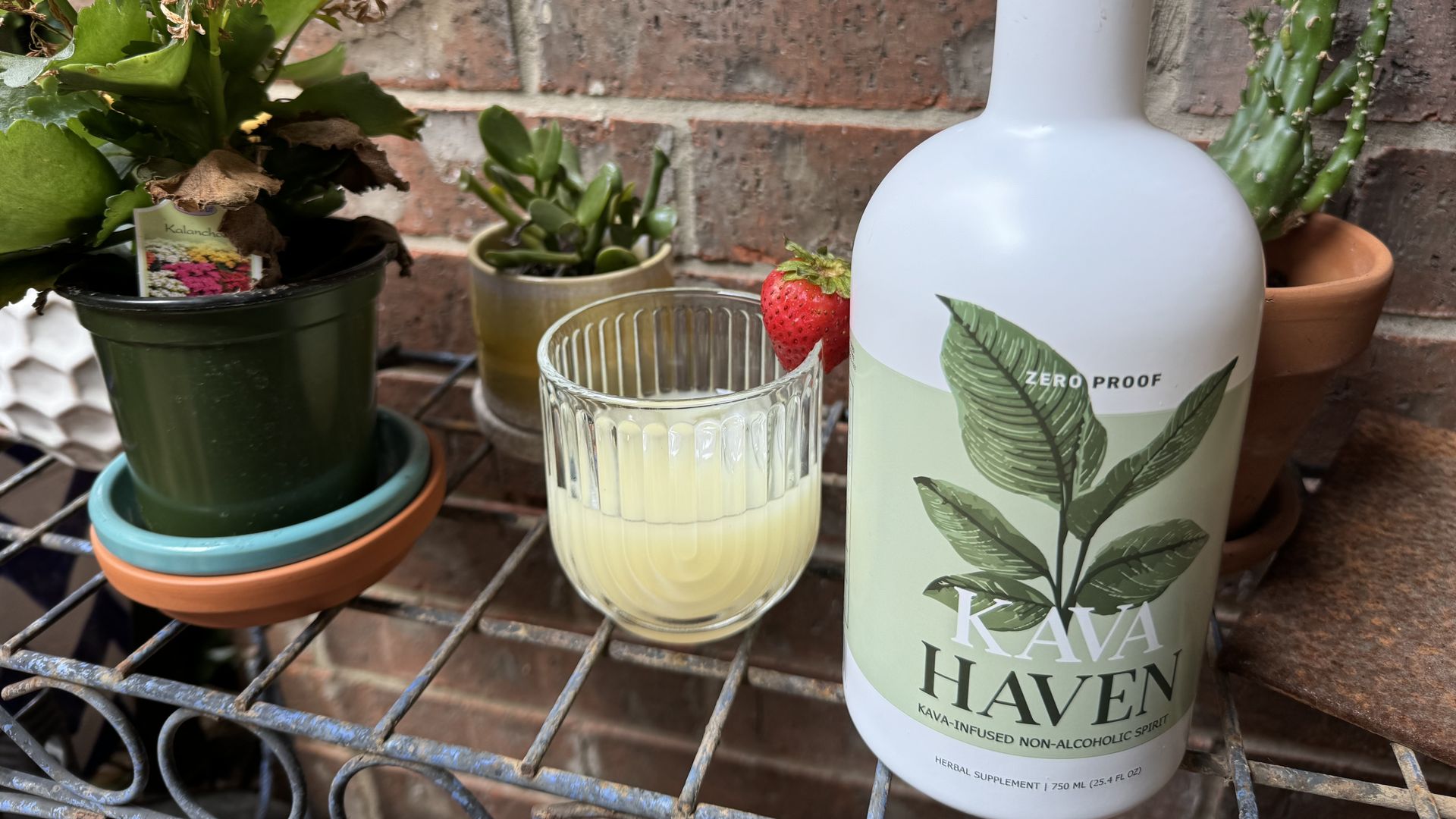 White bottle labeled "Kava Haven" with green leaves design, a glass with pale yellow liquid garnished with a strawberry, surrounded by potted green plants against a brick wall.