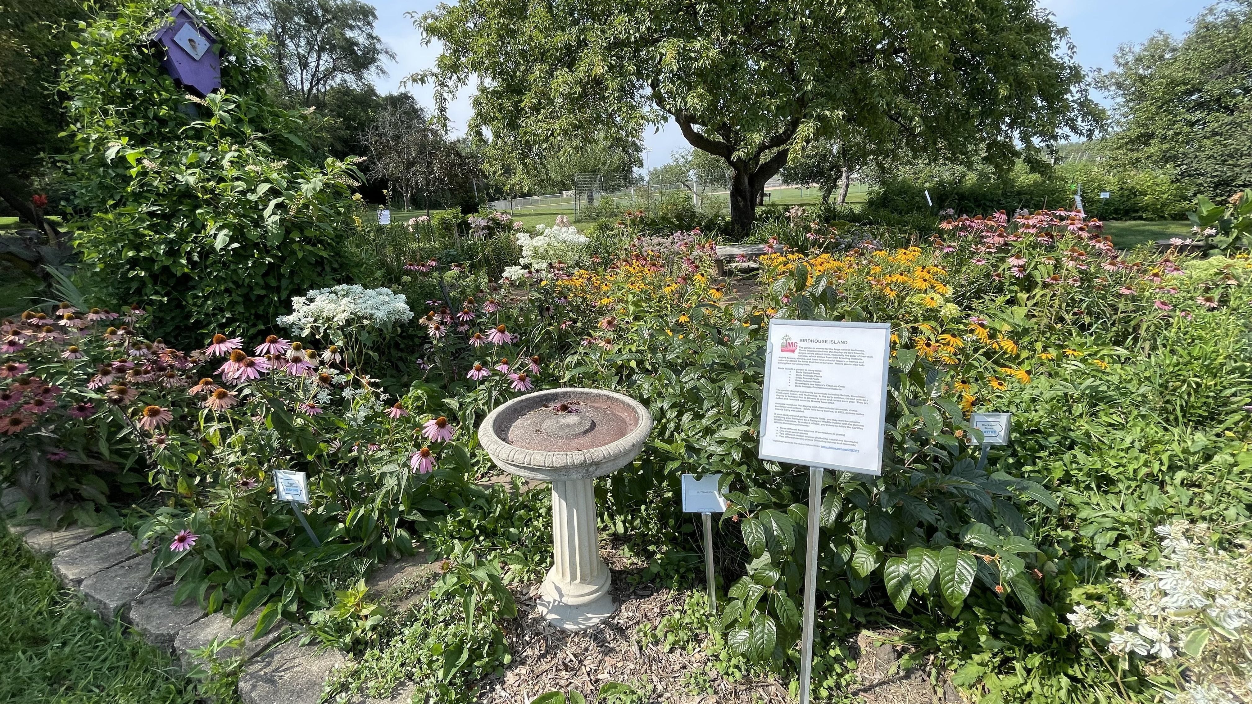 The garden showing a birdbath